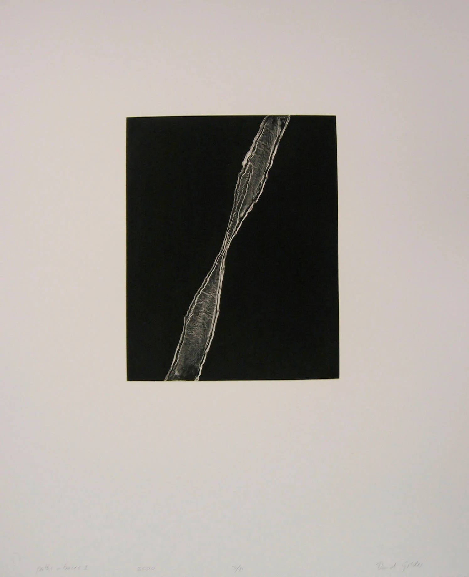 “Paths and Traces I” by David Goldes 2000