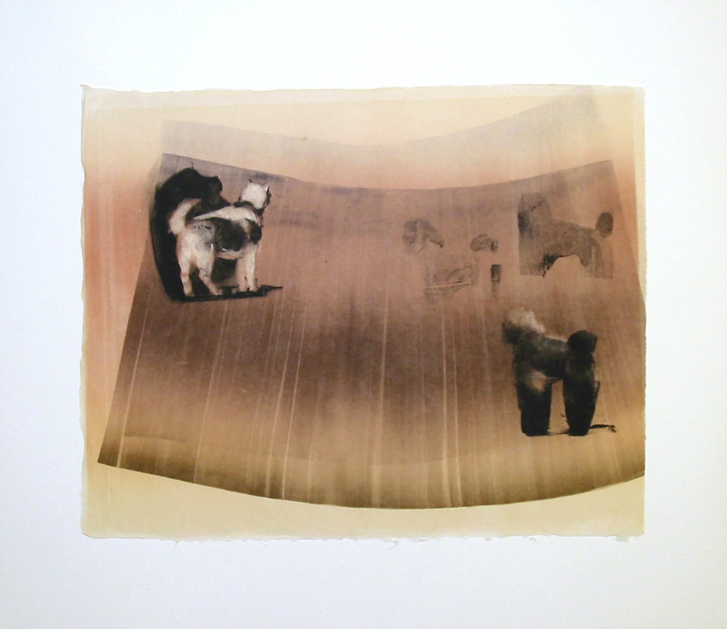 “Away IX/XIII” by Joel Janowitz 2005