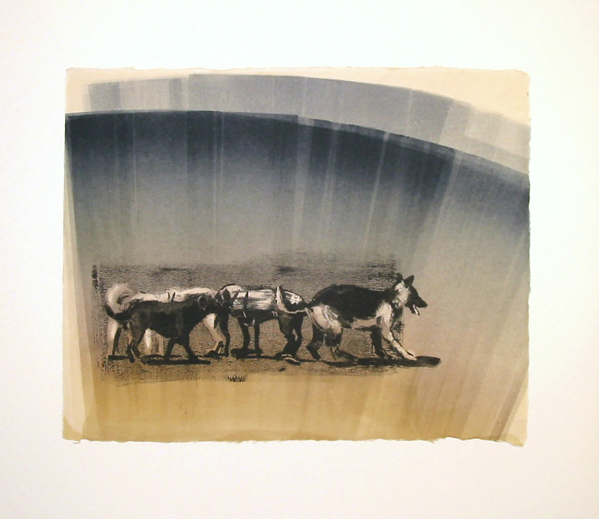 “Pack VI/XIV” by Joel Janowitz 2005