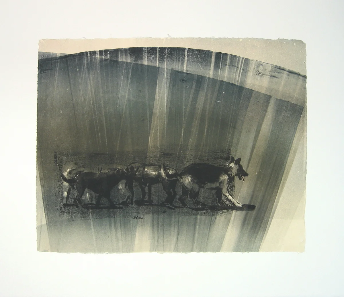 “Pack XIV/XIV” by Joel Janowitz 2005