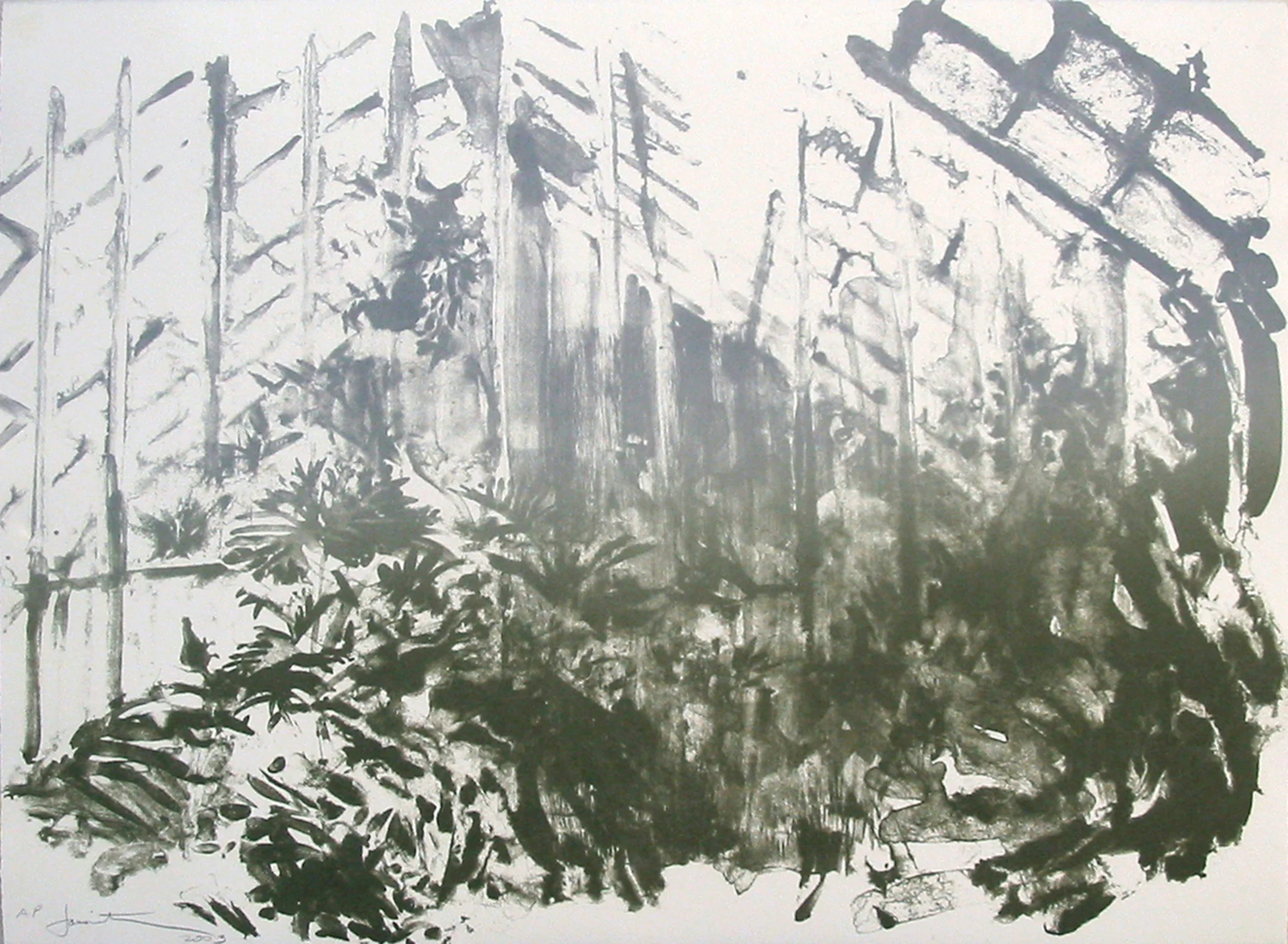 “Wash Greenhouse” (unique) by Joel Janowitz 2005