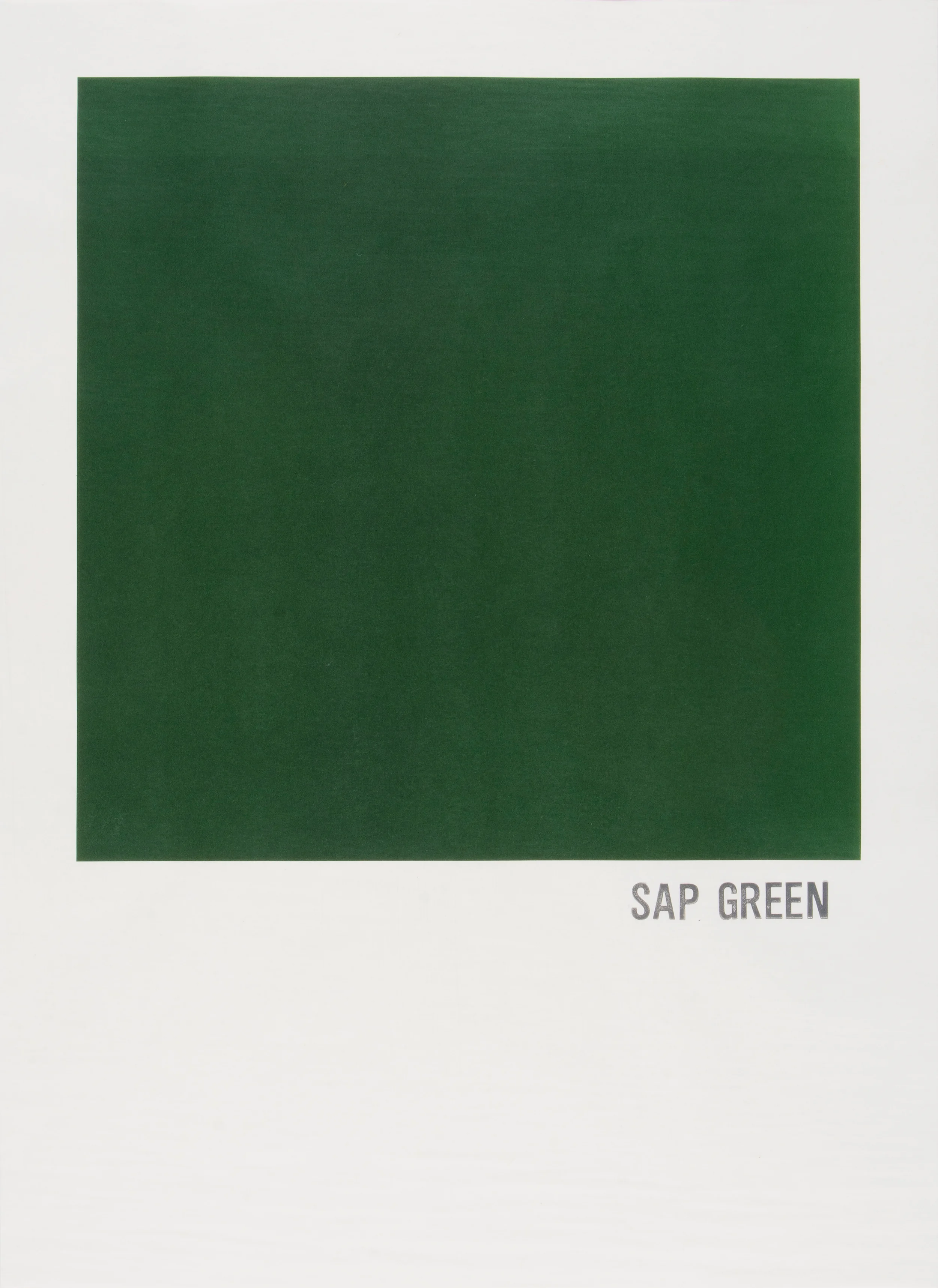 “Sap Green” by Todd Norsten 2016