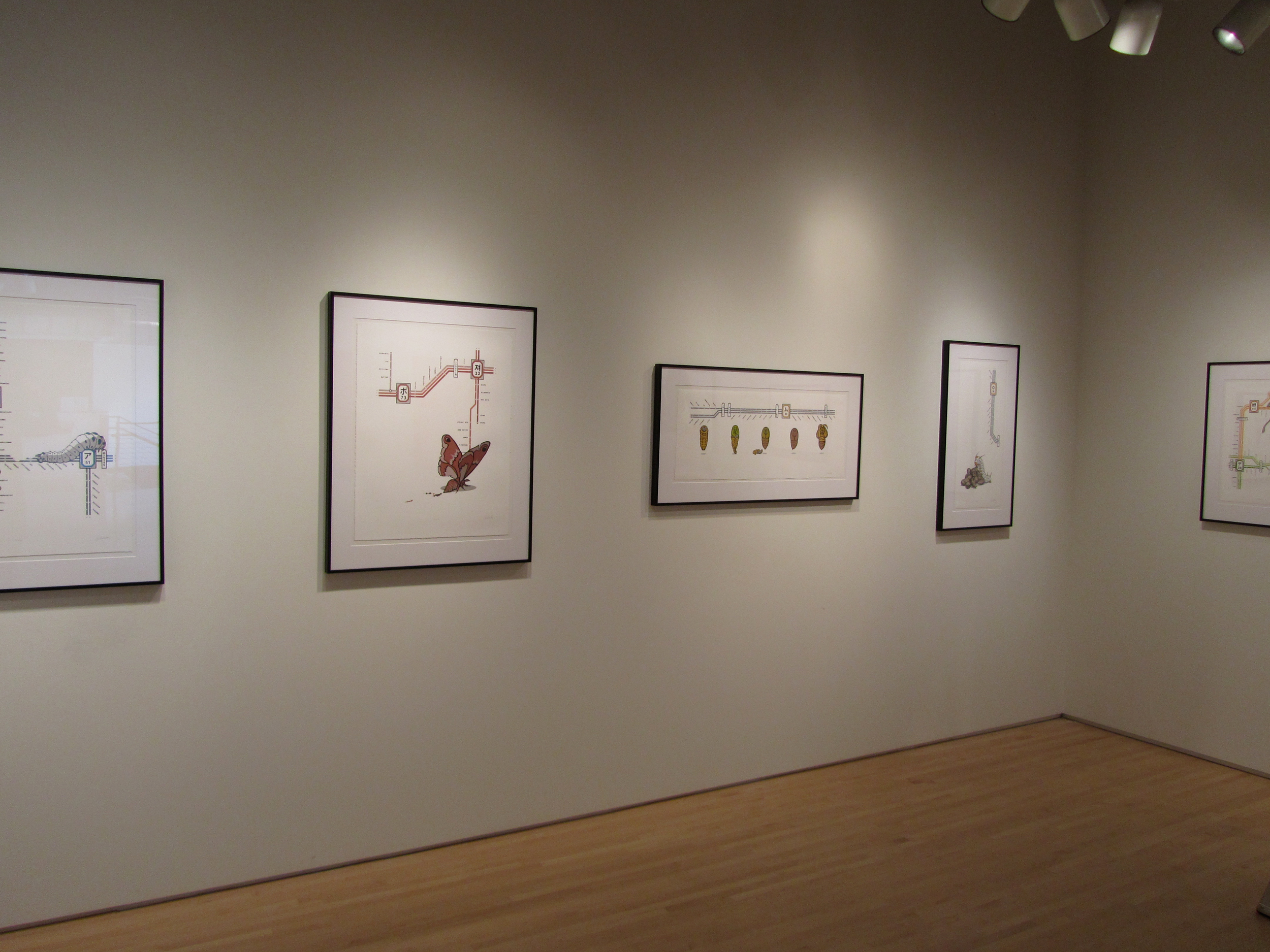 installation-of-the-2010-2011-jerome-emerging-printmakers-exhibition_5734171653_o.jpg