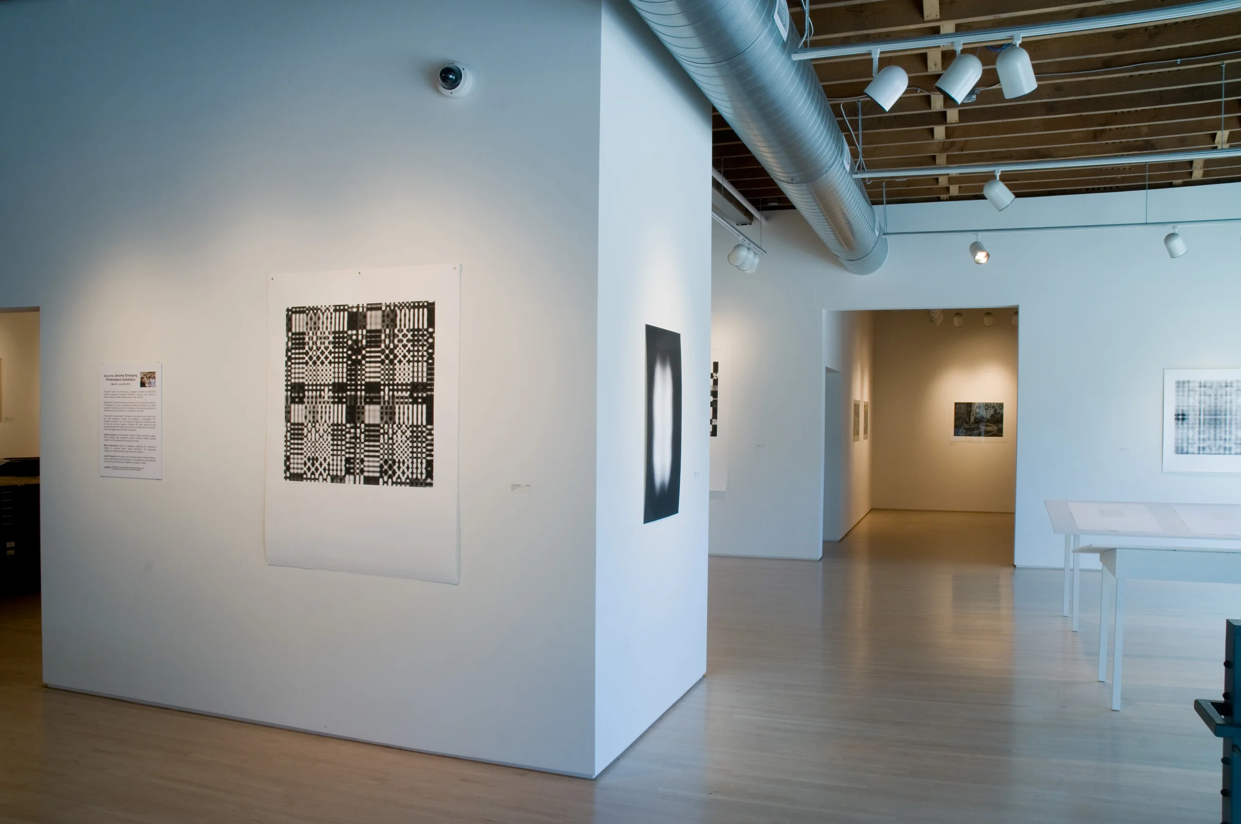 Highpoint Printmaking
Jerome Foundation Artists
photo by David Kern
www.davidkern.com
david@davidkern.com
Original Filename: 100630b0020.NEF