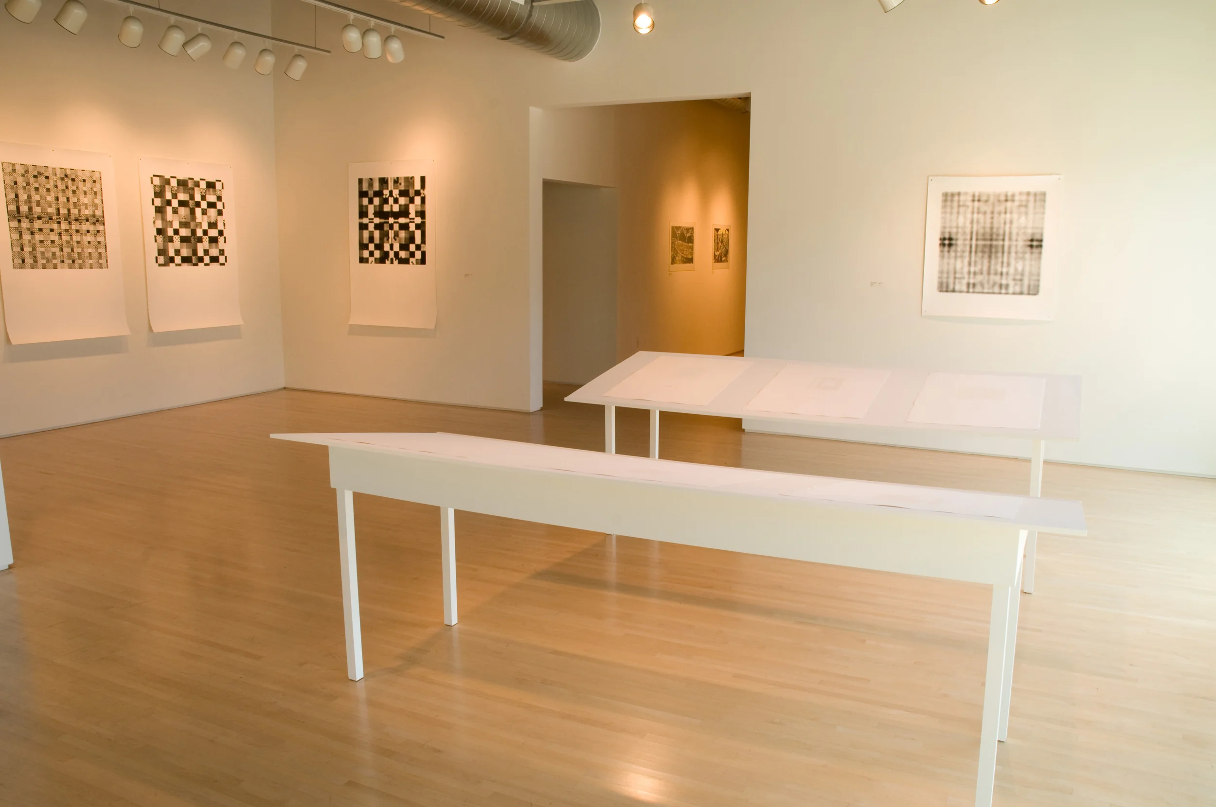 Highpoint Printmaking
Jerome Foundation Artists
photo by David Kern
www.davidkern.com
david@davidkern.com
Original Filename: 100630b0057.NEF