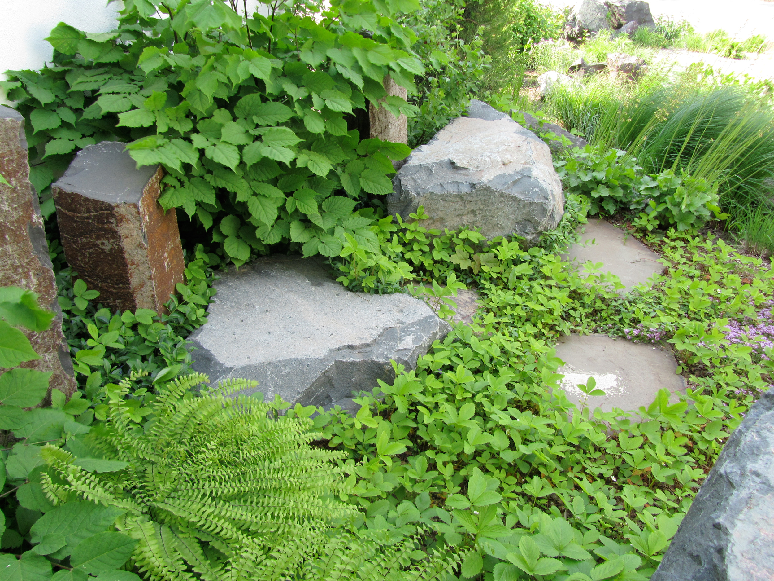 6096449999_a6eaa38c04_o (1).jpg