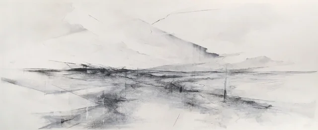 Sam Orosz, Clear Cut , Layer drawing with screen printing and drawing materials, 2017