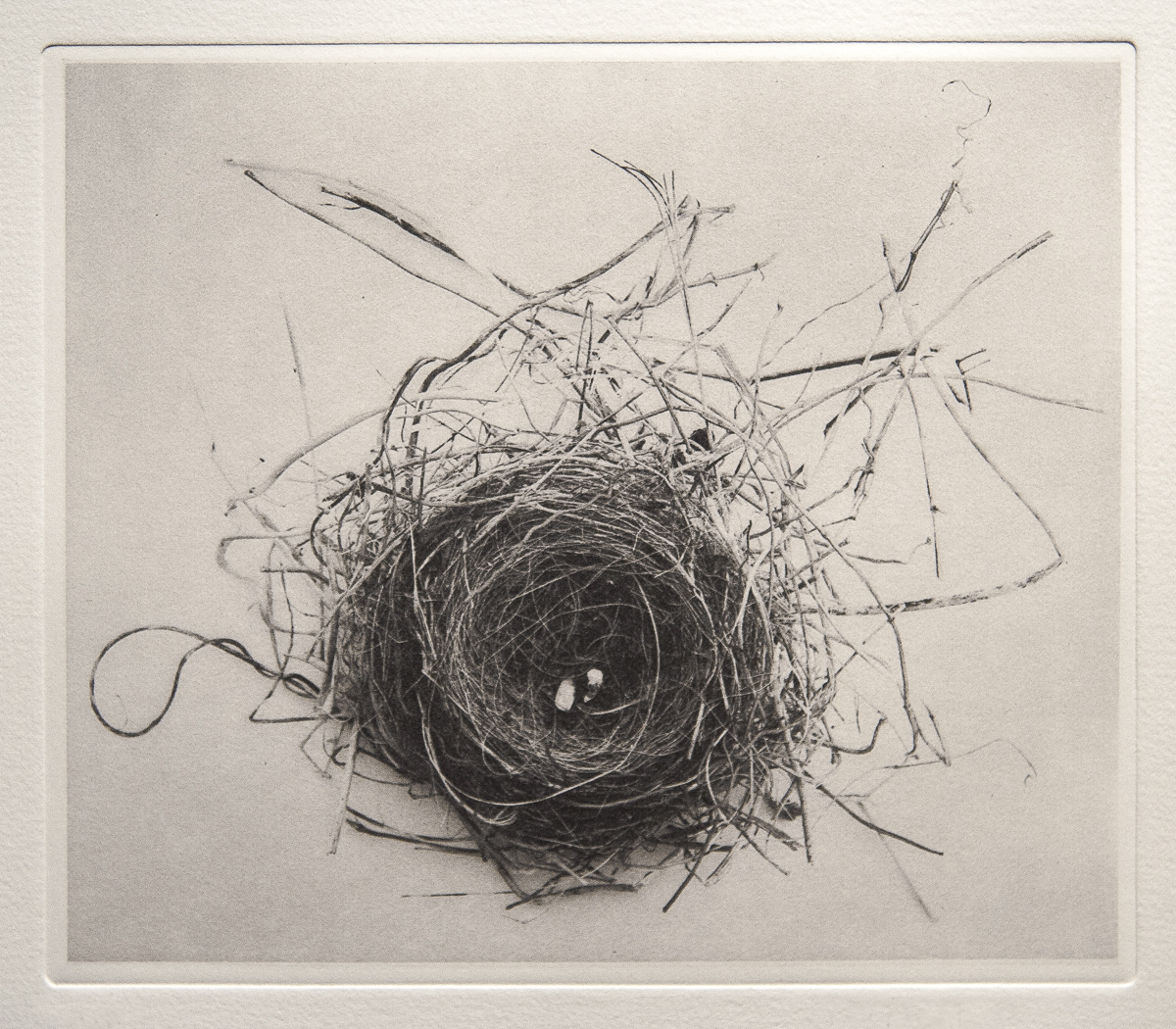 Keith Taylor, 'Bird's Nest'