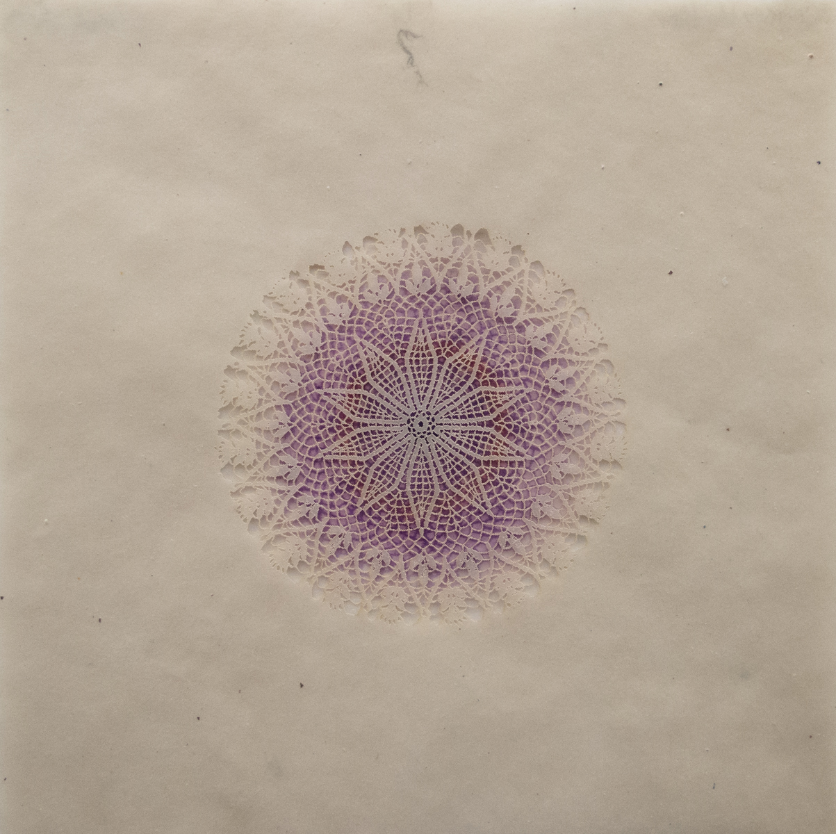  Amy Sands   Constellation III   Monotype with screenprint and lasercut 