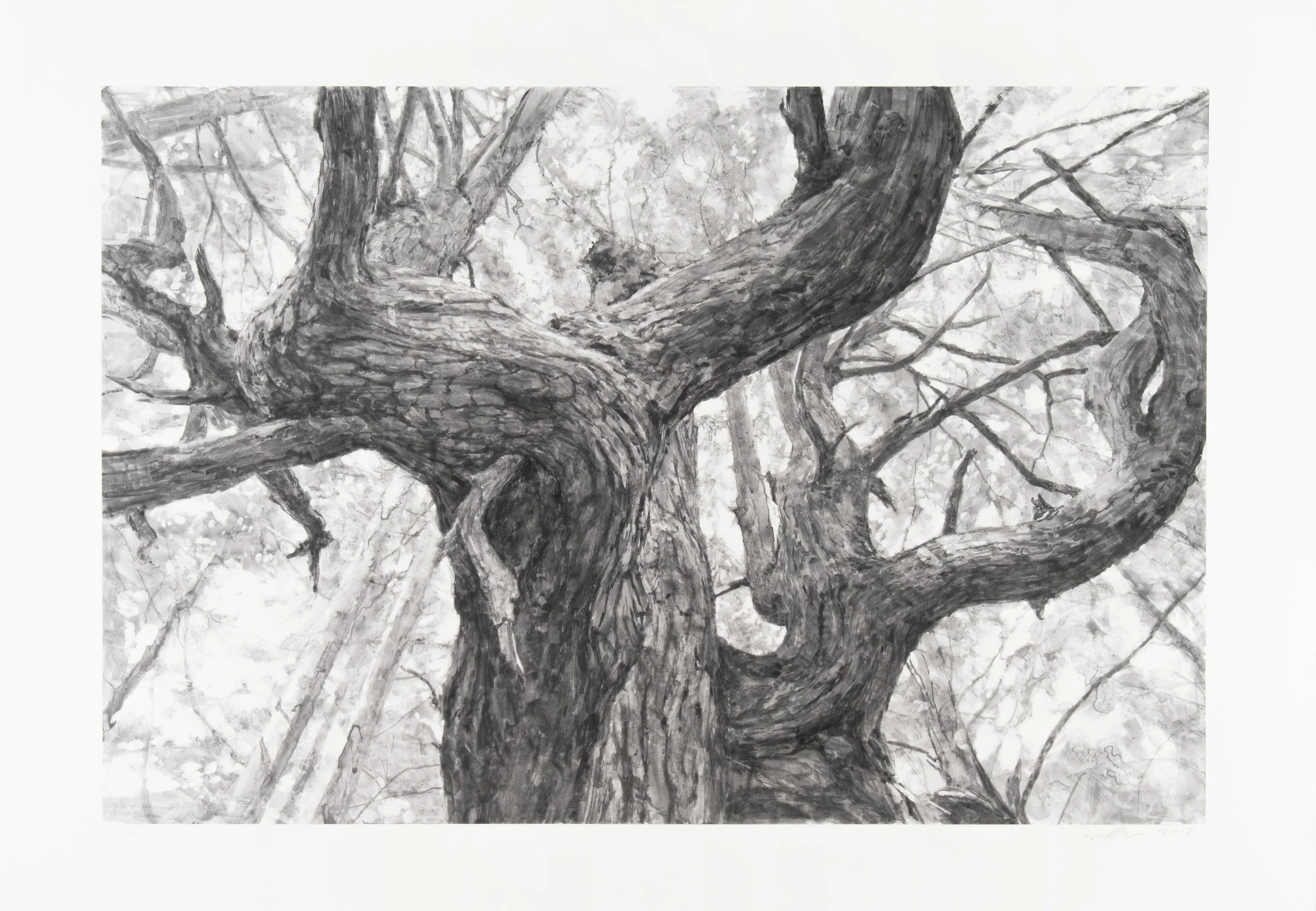 “Tree Near Second Beach” by Michael Kareken 2018