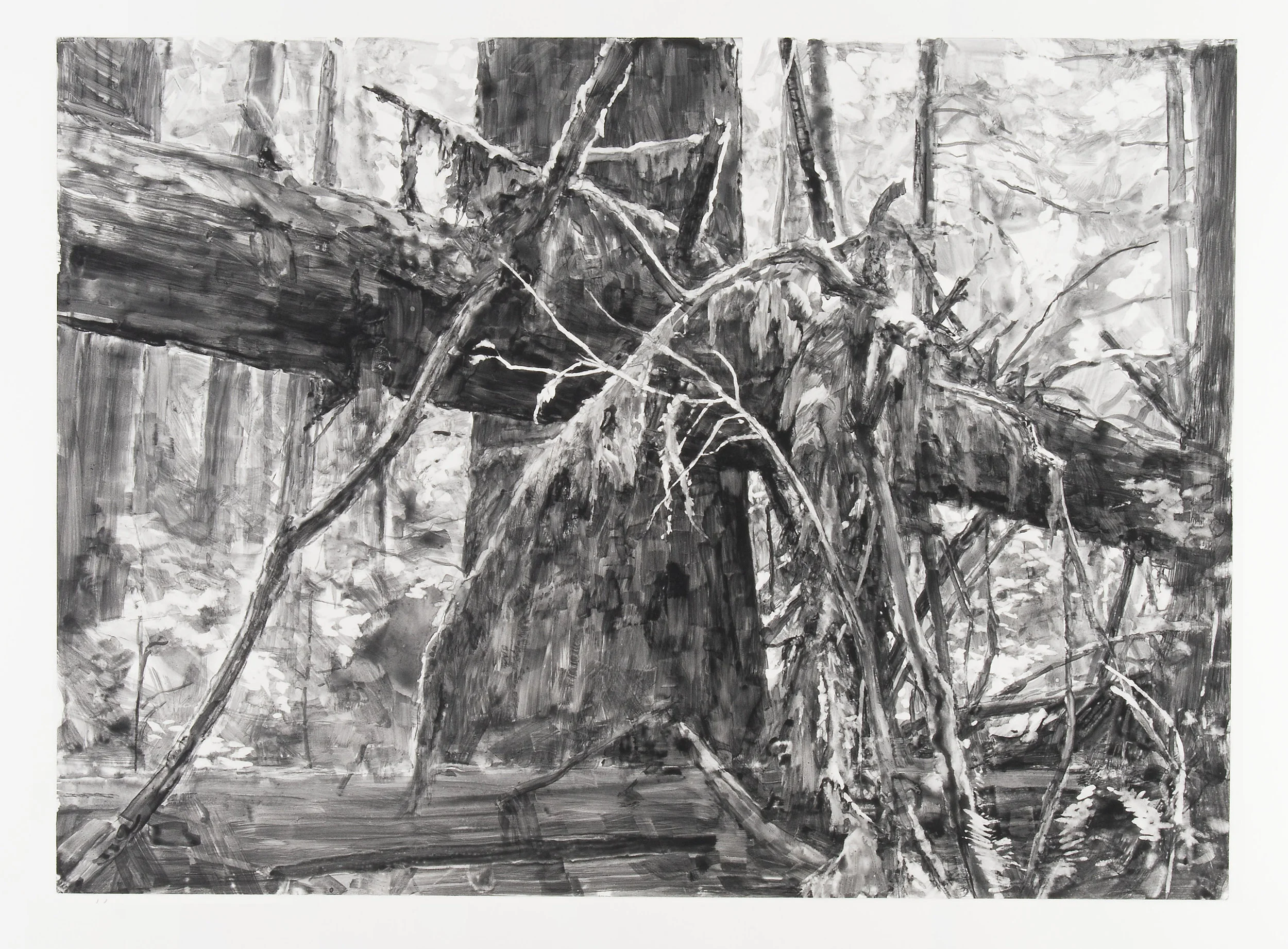 “Lake Quinalt Deadfall” by Michael Kareken 2018