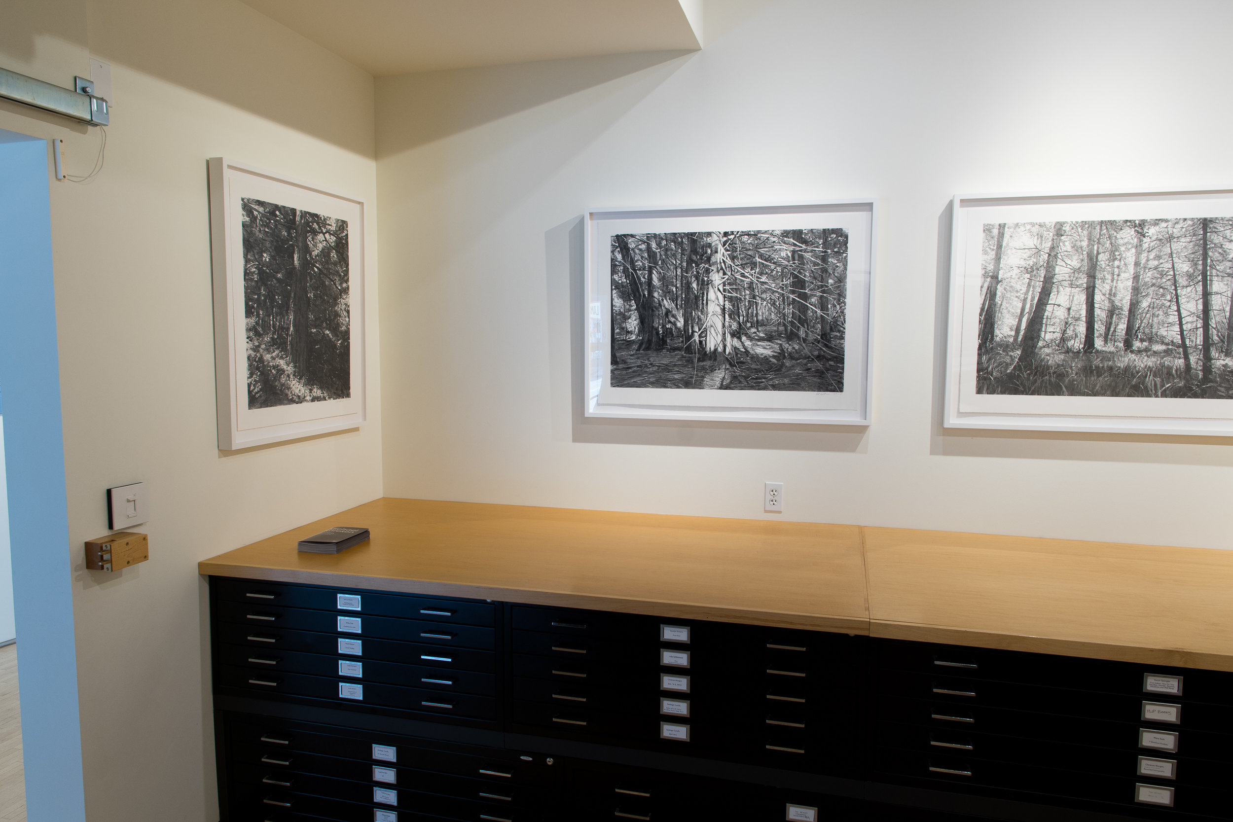  Highpoint Printmaking
Print Room with Michael Kareken Prints


180927a0151.JPG 