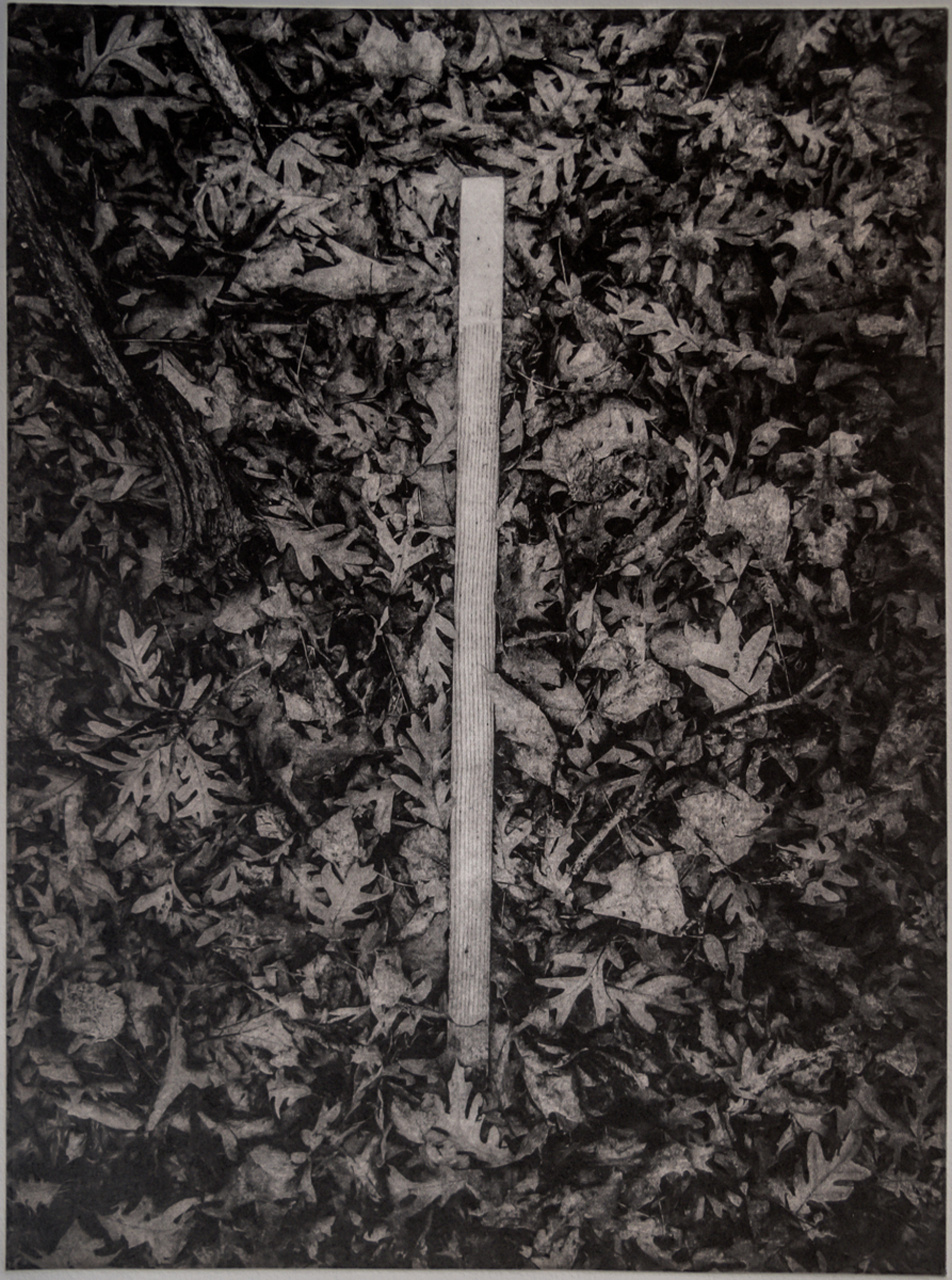 John Pearson, Path Marker, polymergravure