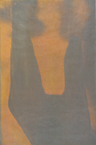    Gesture XIV 2/5   by Linda Schwarz 2002   Photolithography, hand painted &amp; varnish  |  24" x 16"  