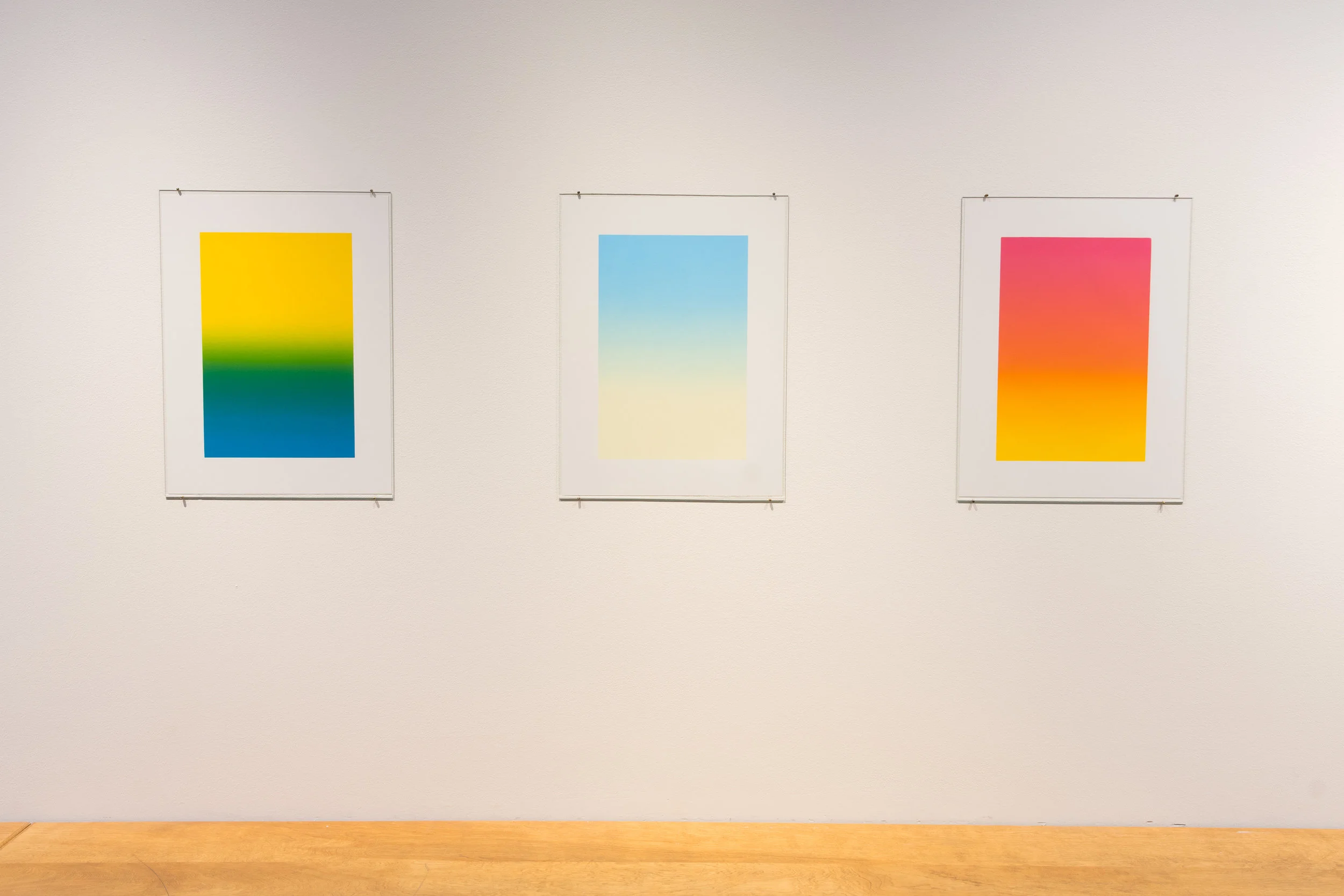 Access/Print
2018/2019 Teen Program Exhibition
April 12 - May 11, 2019
Highpoint Printmaking
190426a0251.JPG