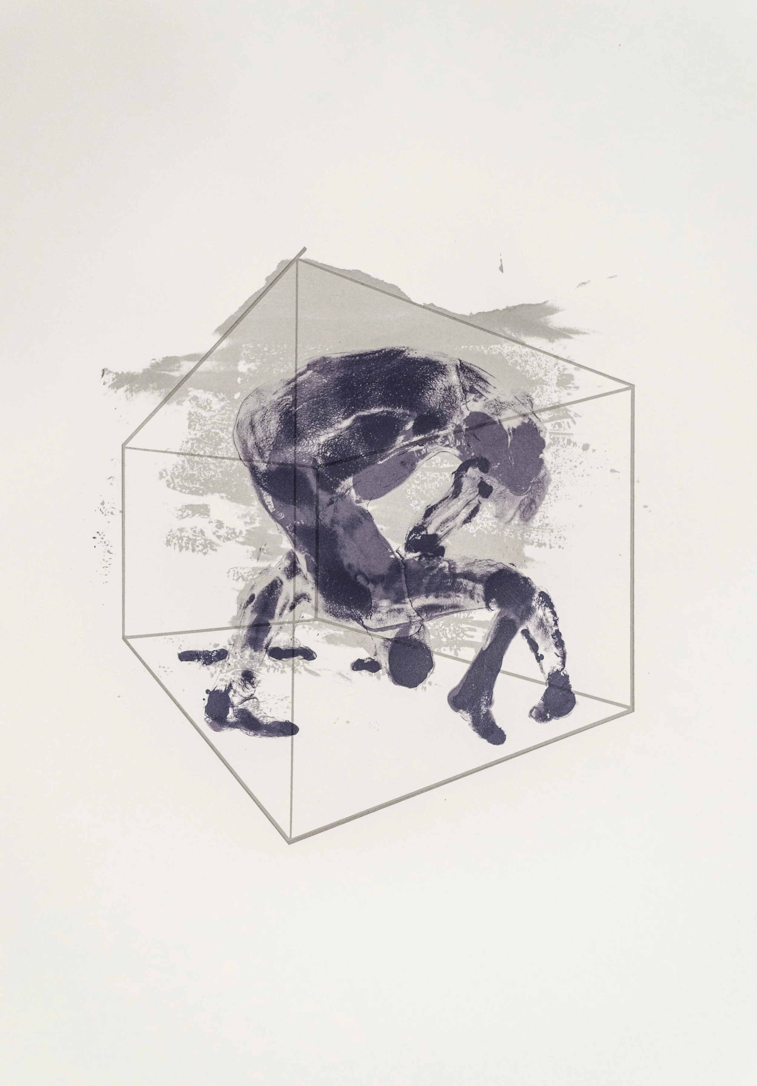 Grace Sippy, Glass Box , Screenprint, 2019