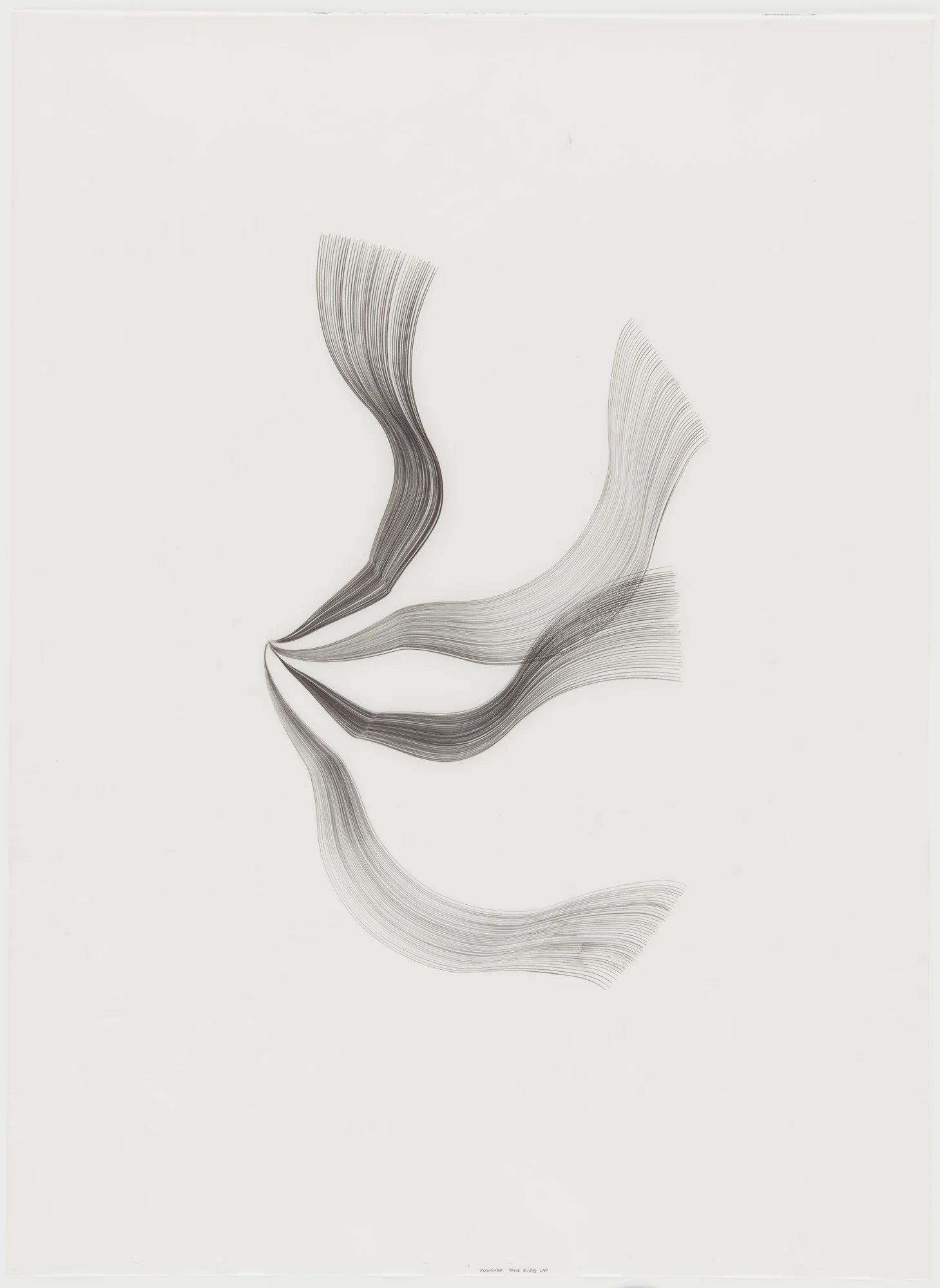 Ancillary - Amorales 75