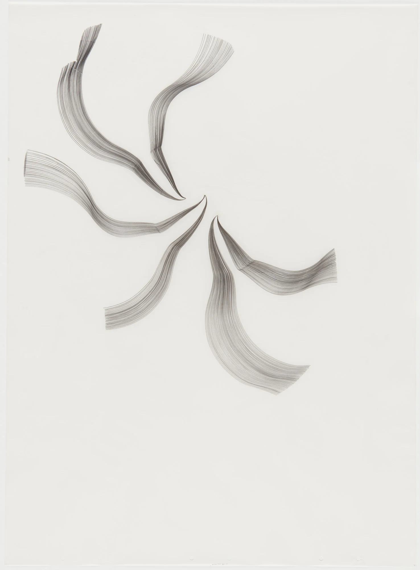  Ancillary - Amorales 77 