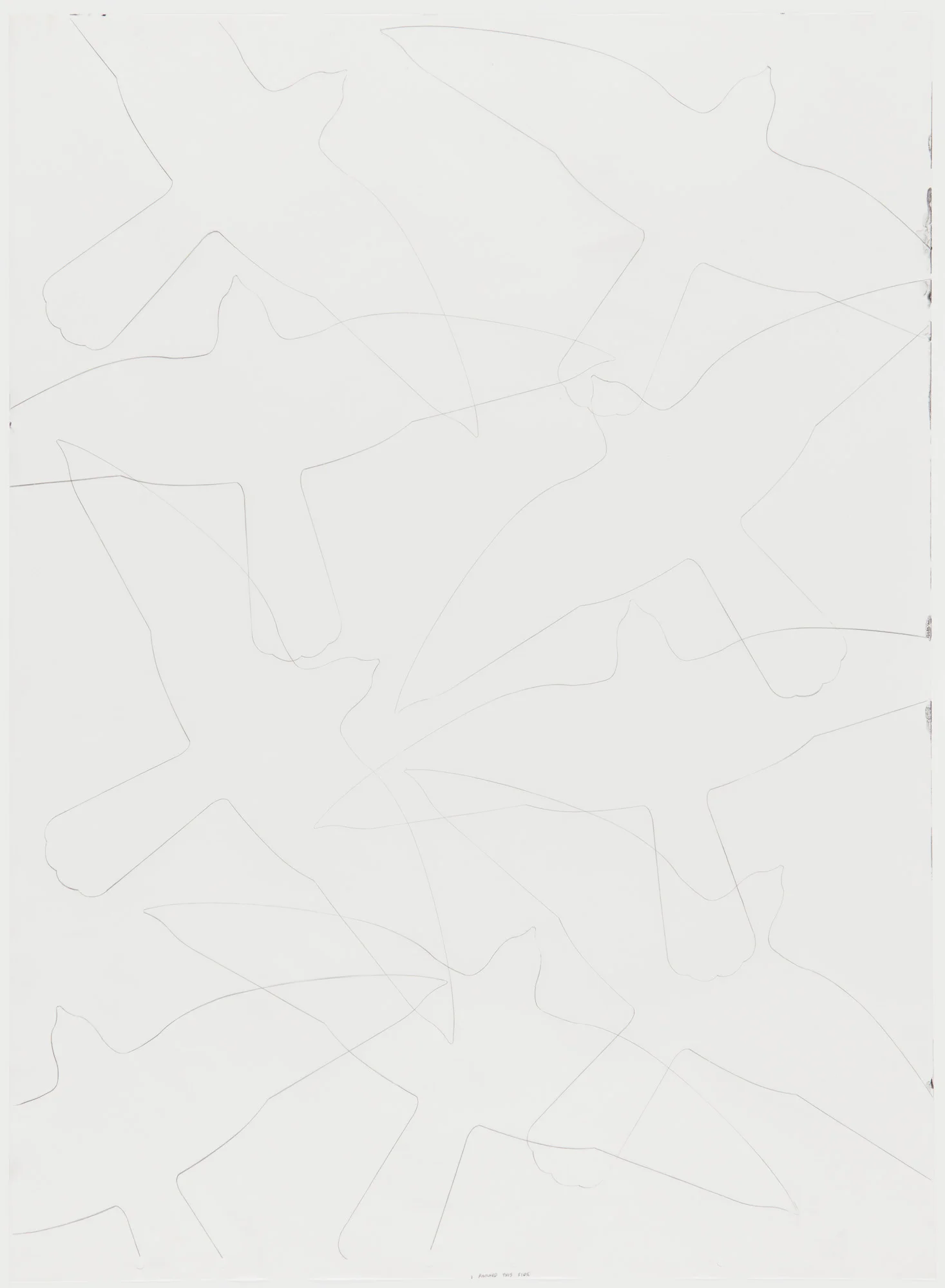 Ancillary - Amorales Bird Sticker line drawing