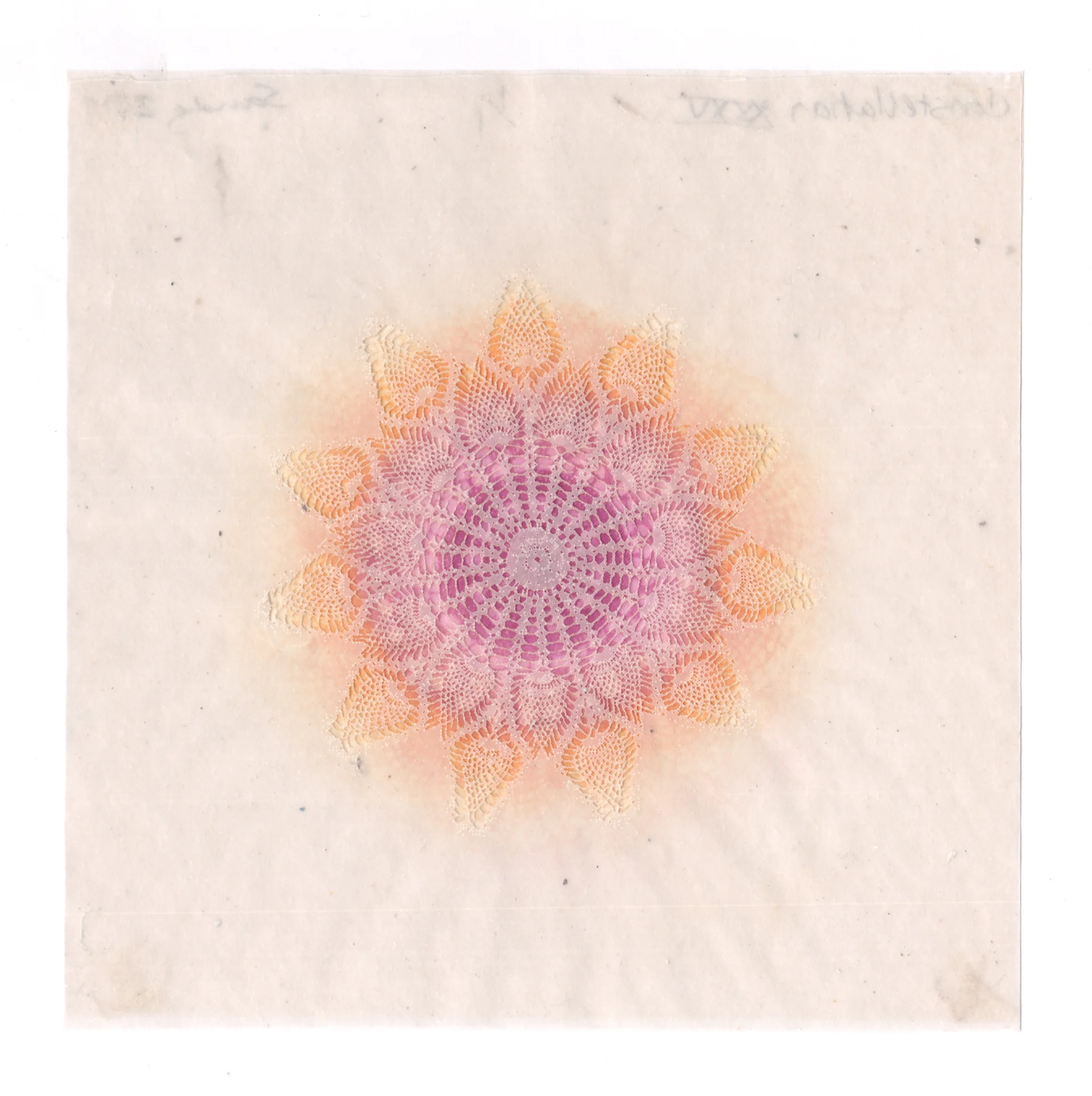 Amy Sands, Constellation XXXV