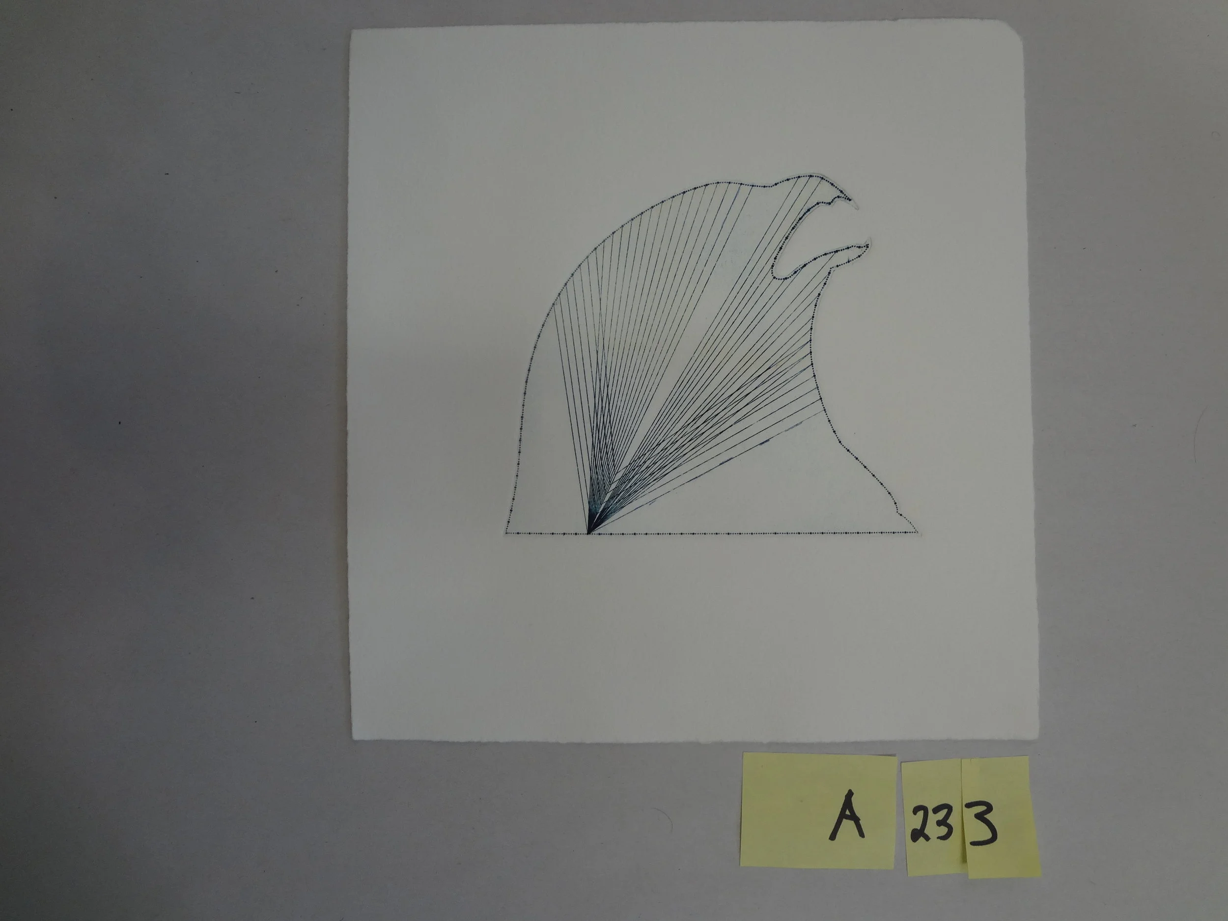 A233.JPG