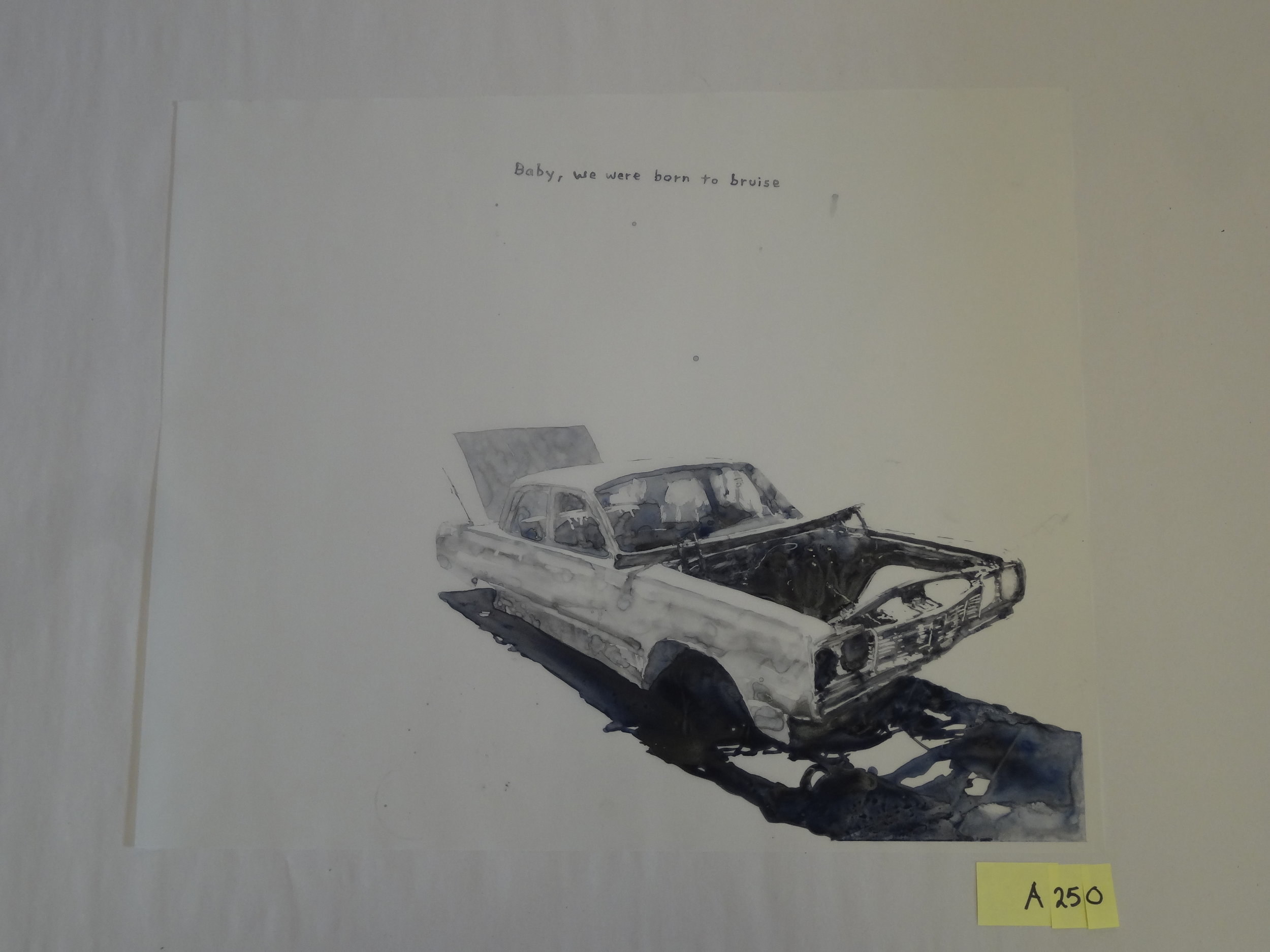 A250.JPG