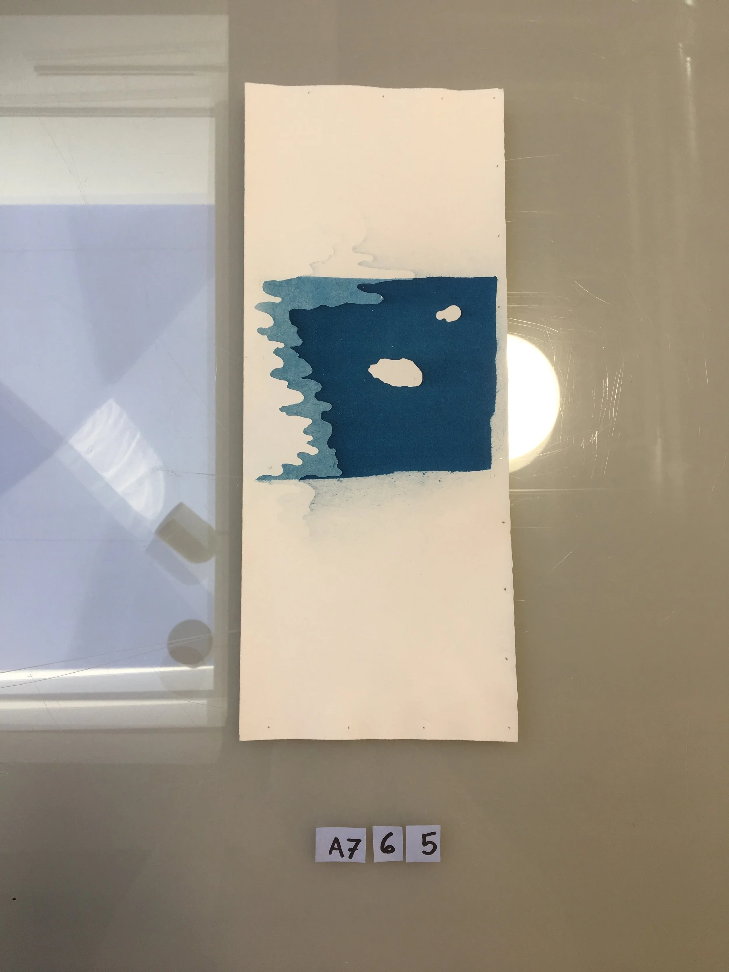 A765.JPG