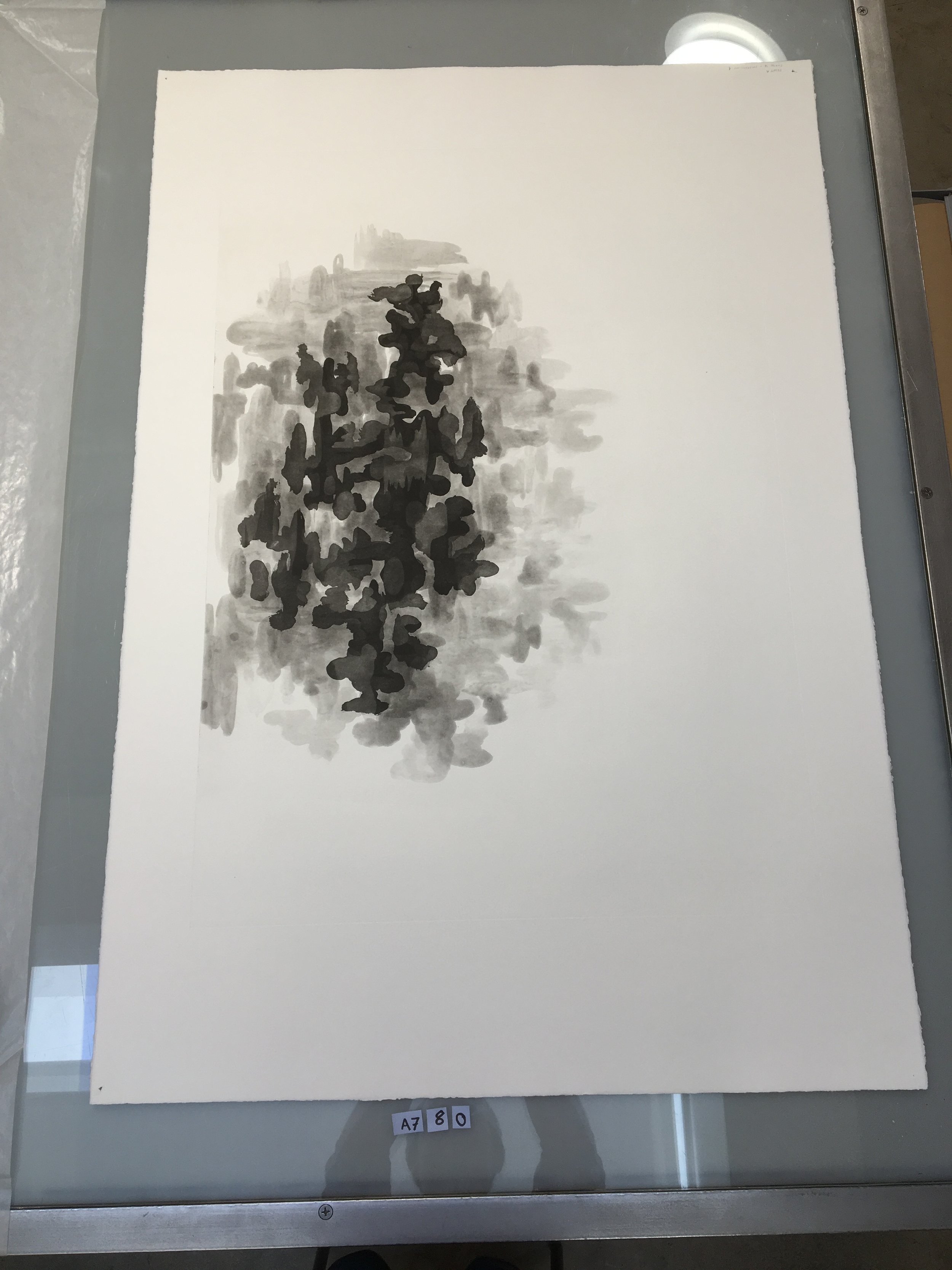 A780.JPG