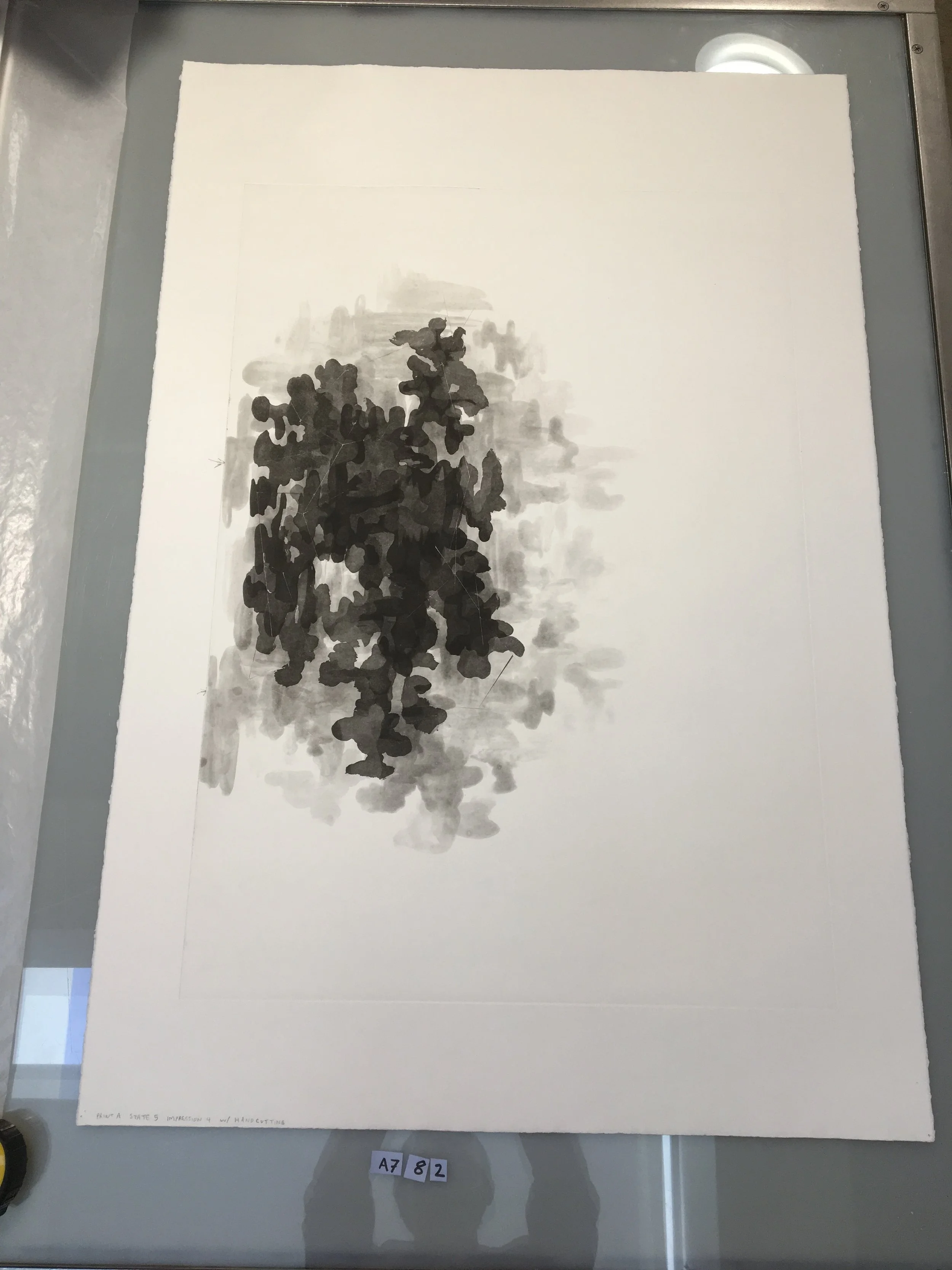 A782.JPG