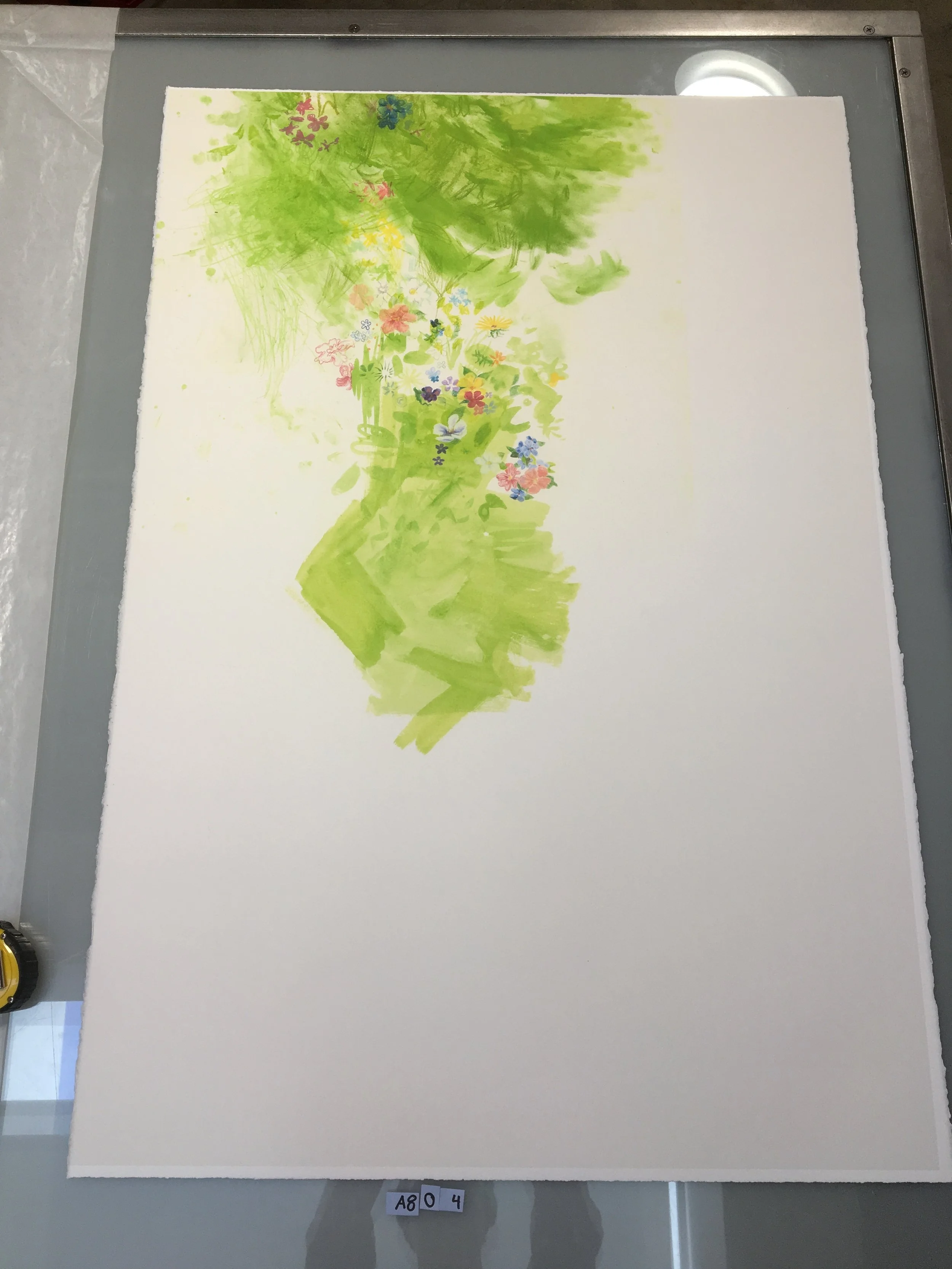 A804.JPG
