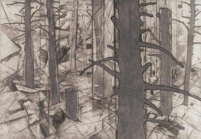 Josh Bindewald, State 5 , drypoint with spit bite and chine collé
