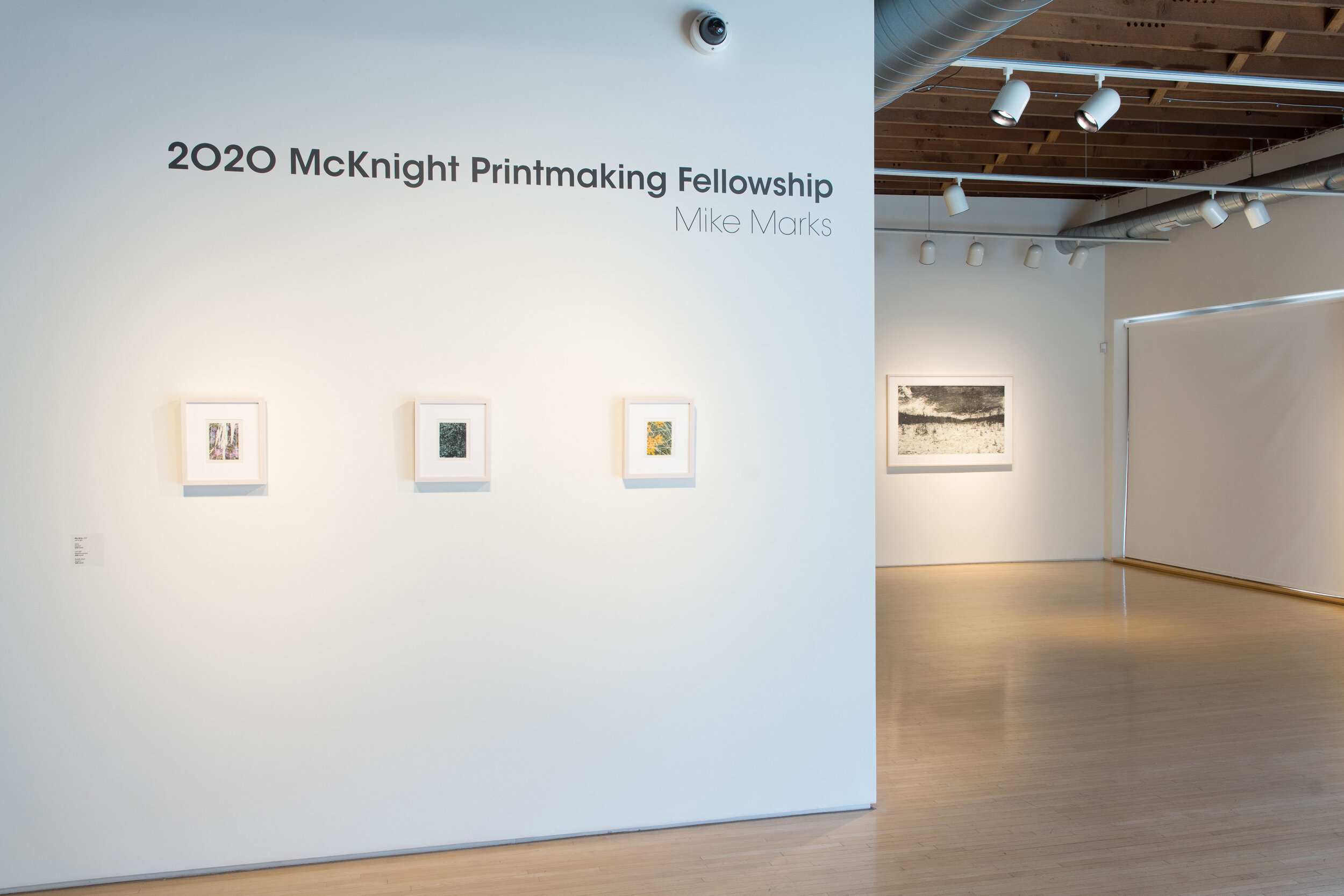  Highpoint Printmaking2020 McKnight Printmaking FellowshipMike Marks210112a0032.JPG 