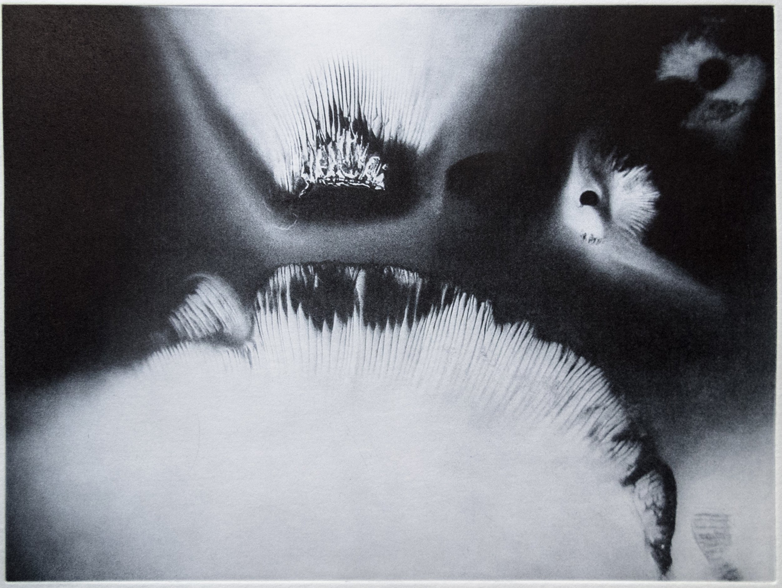  John Pearson   Spore Scape 3   Polymer photgravure 