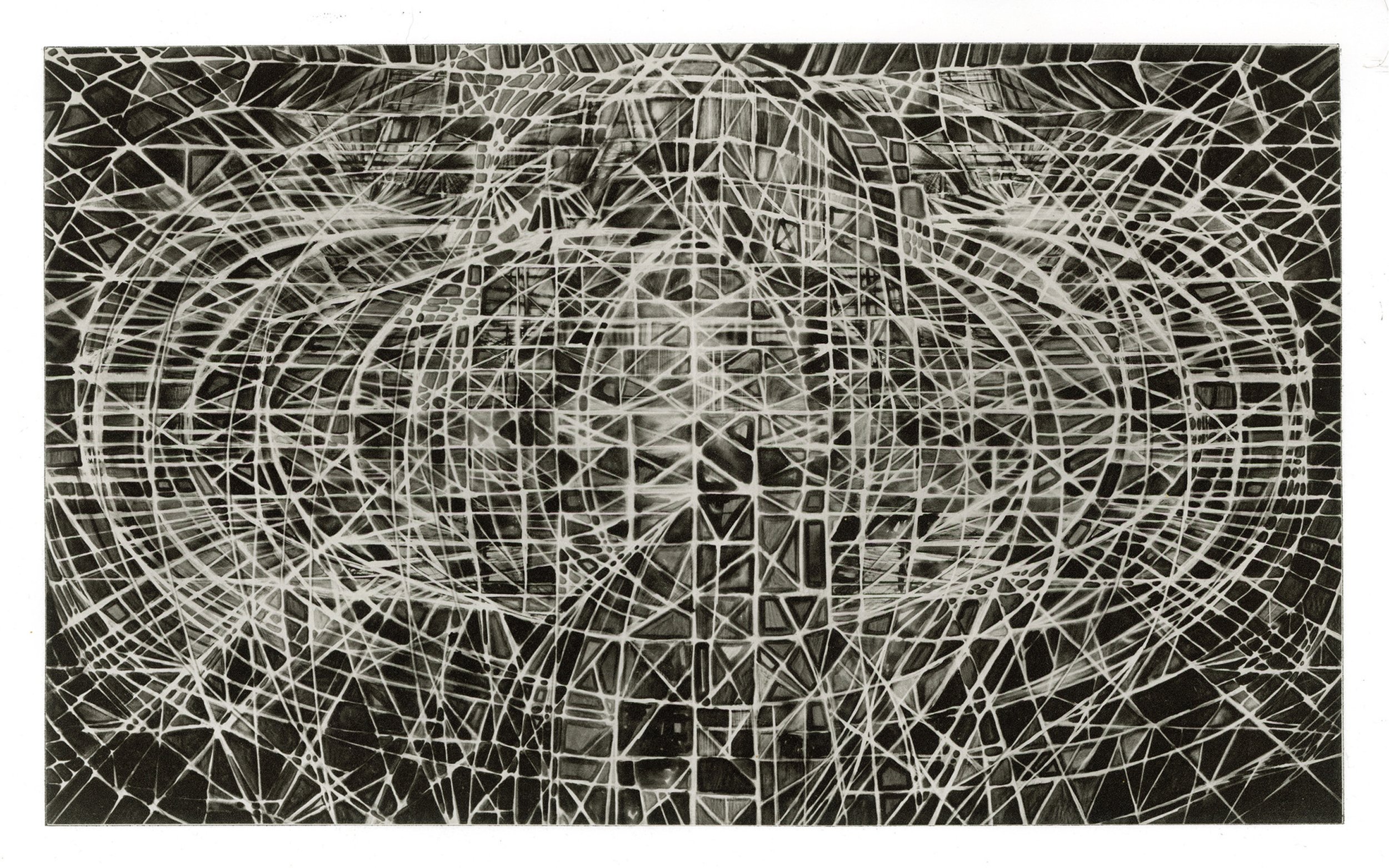  Jon Mahnke    Webs    Polymer photogravure 