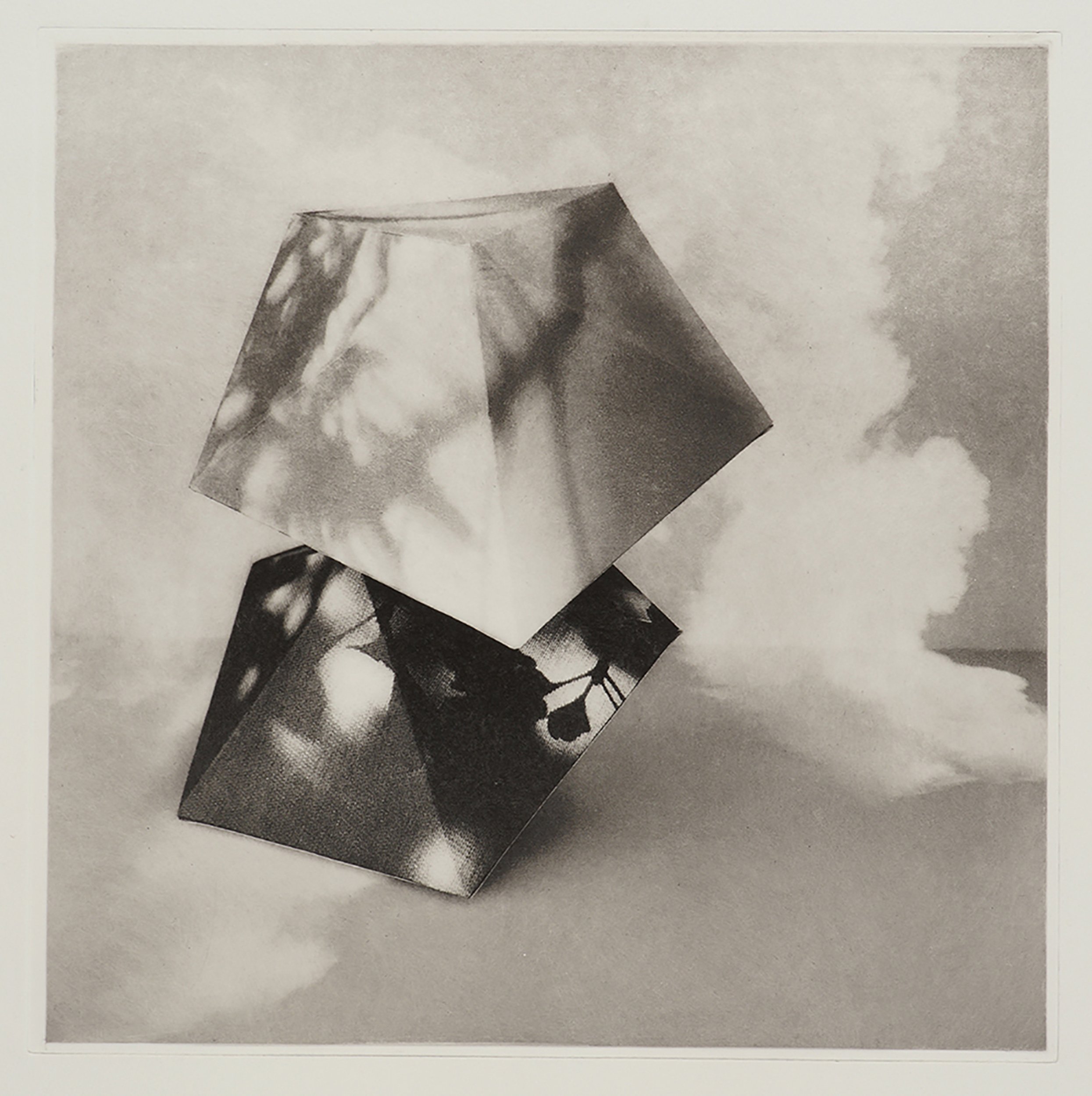  Lisa Nebenzahl    Meshes   Duo-toned polymer photogravure                 