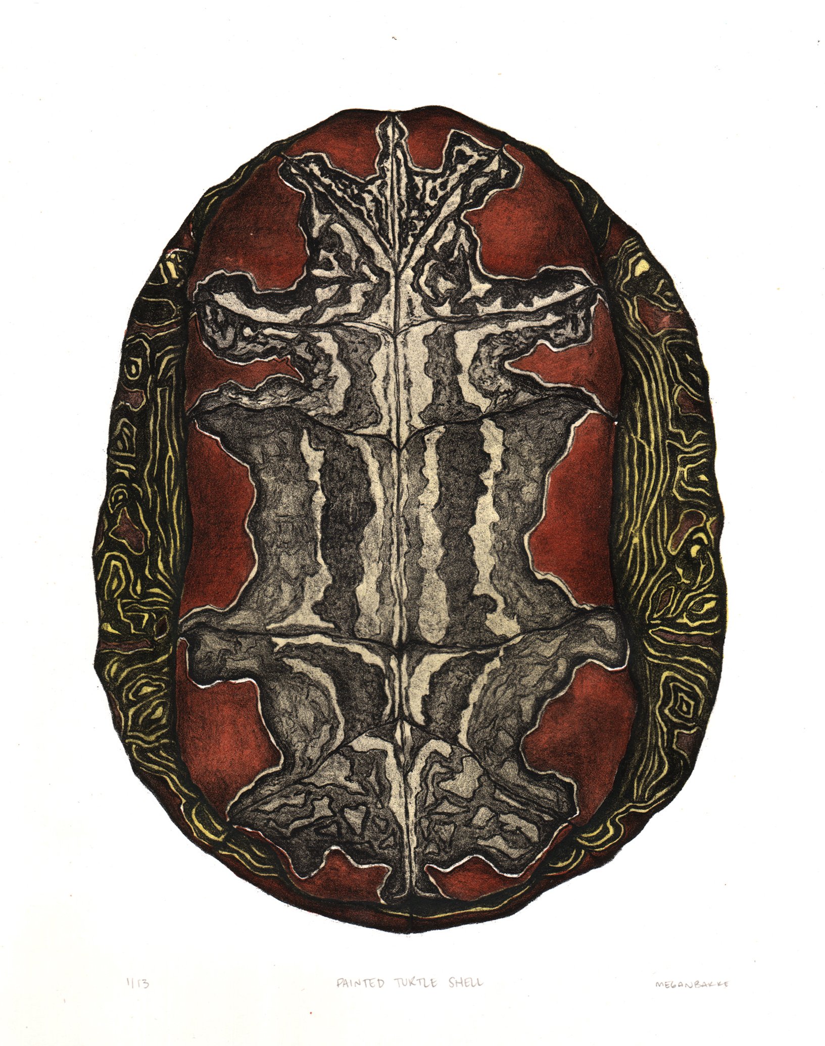  Megan Bakke   Painted Turtle Shell   Stone Lithograph 