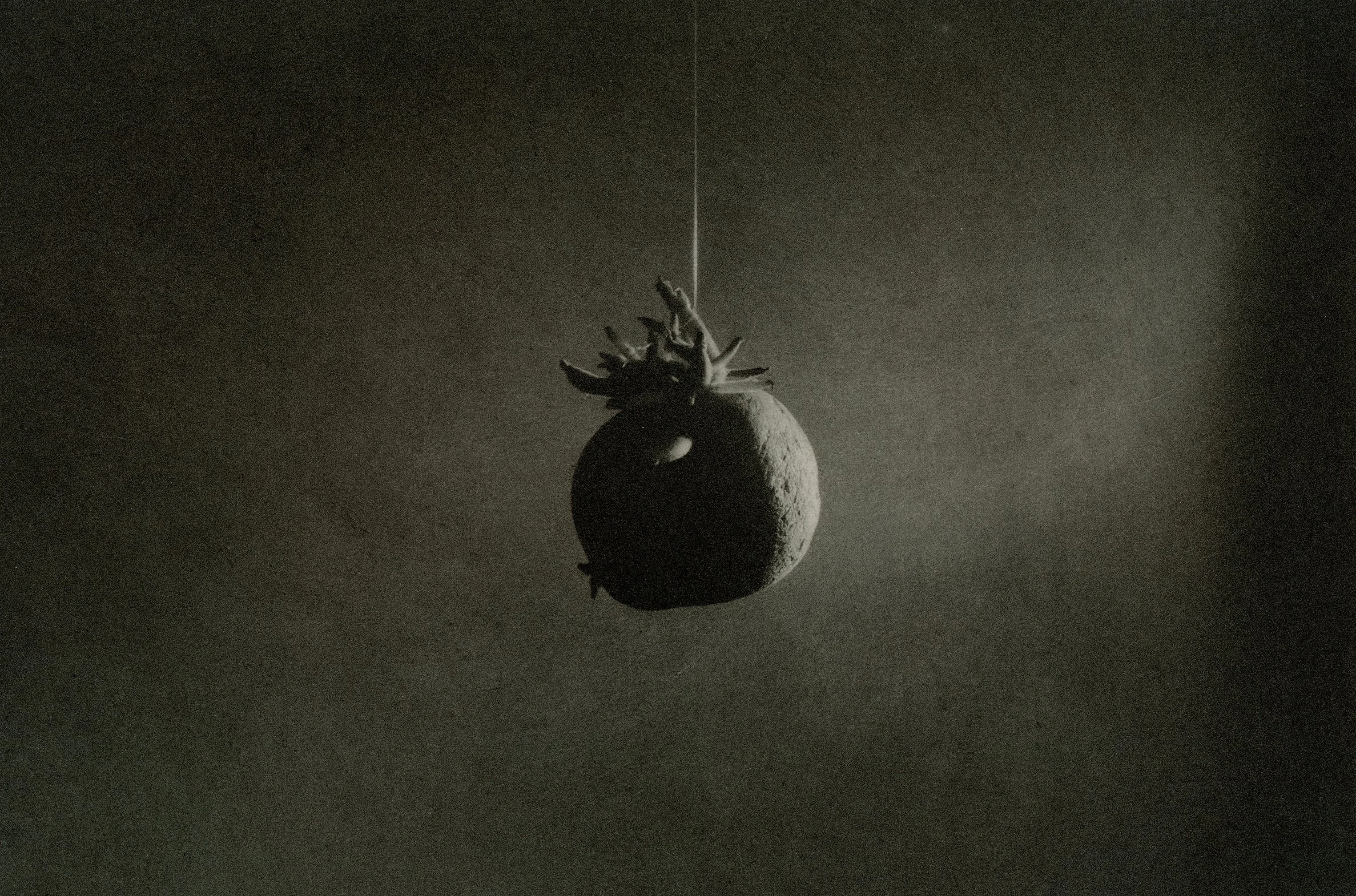 Intro to Polymer Photogravure