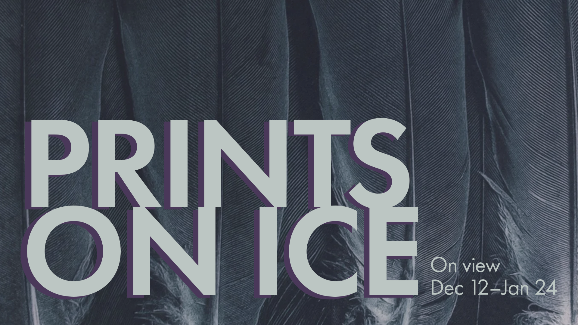 Prints on ice