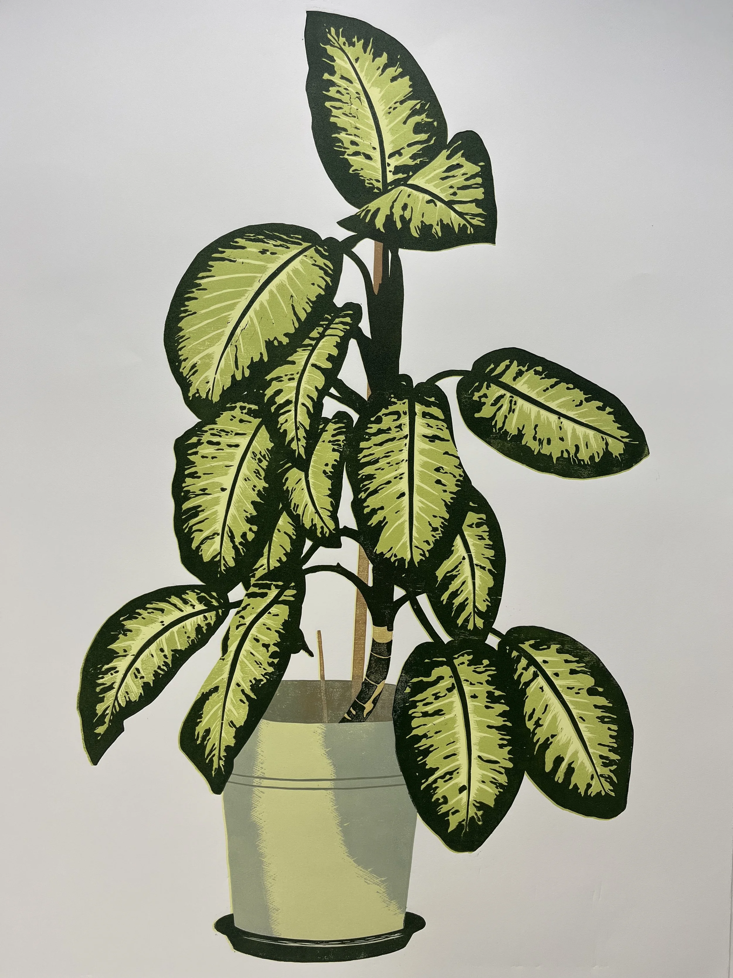 Tales from the Co-op: Ben Capp