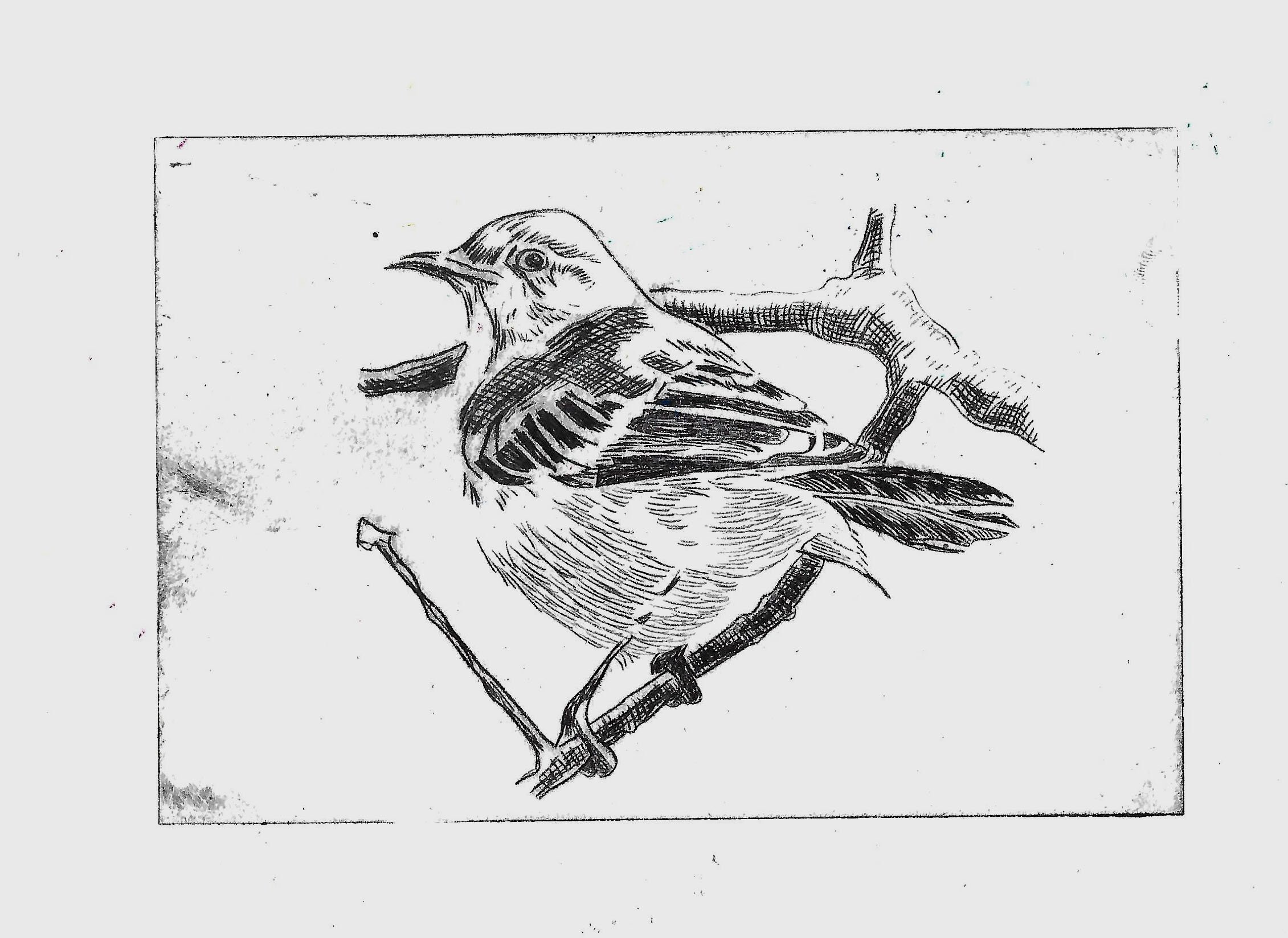 drypoint4.jpg