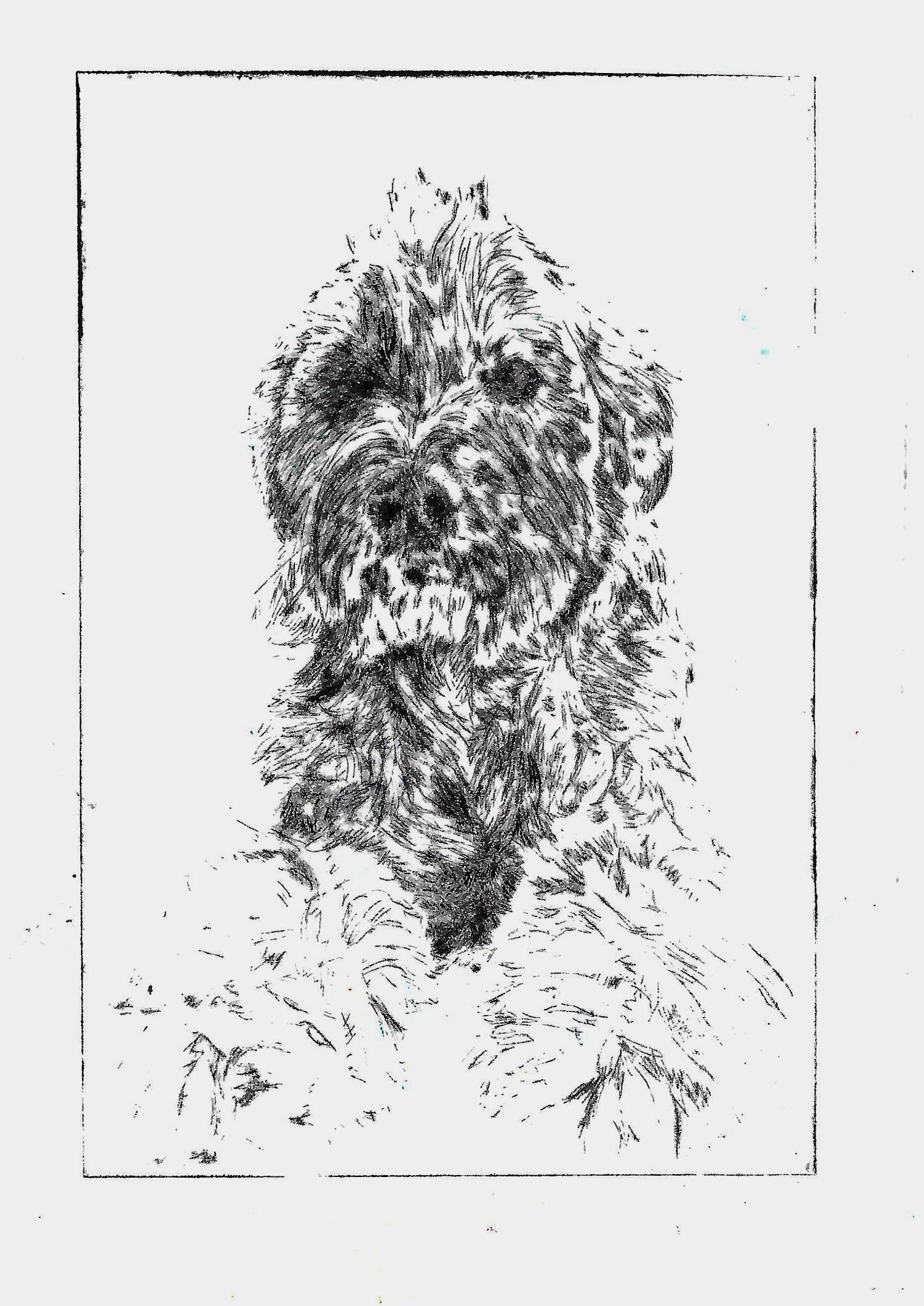 drypoint3.jpg