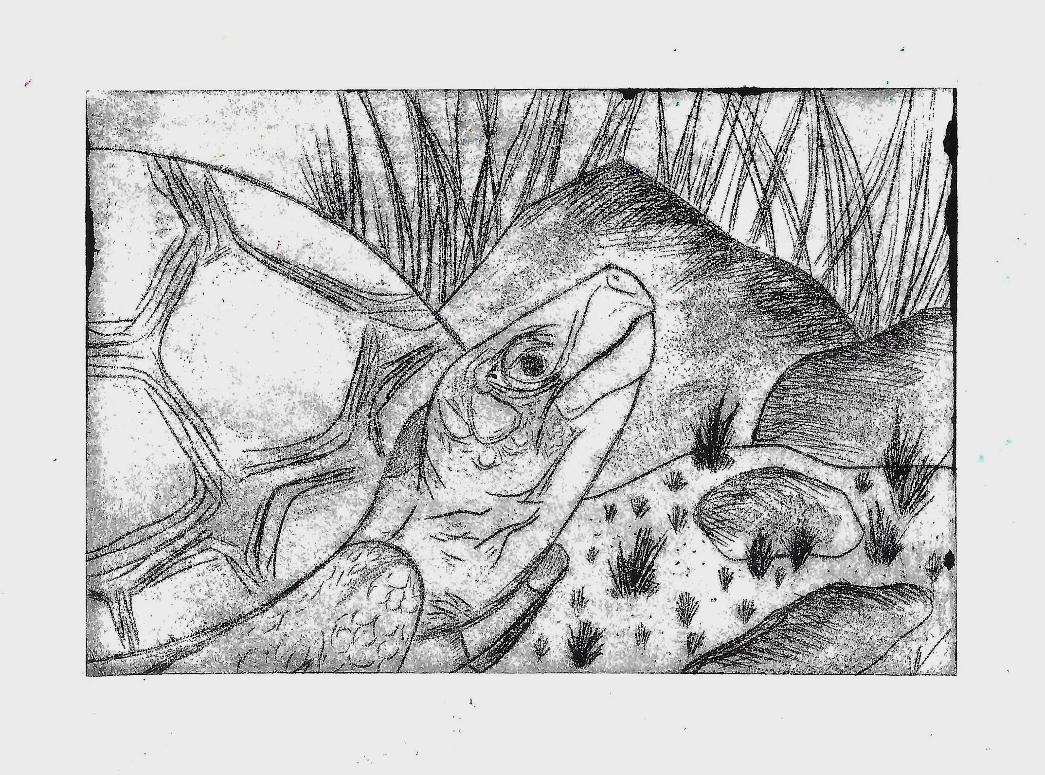 drypoint2.jpg