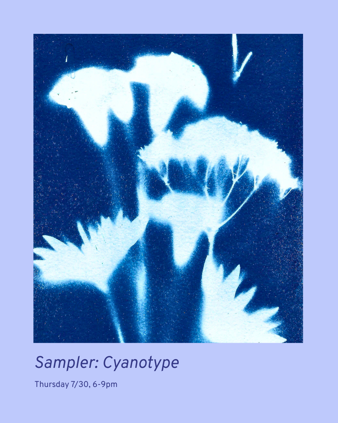 Sampler Session: Cyanotype