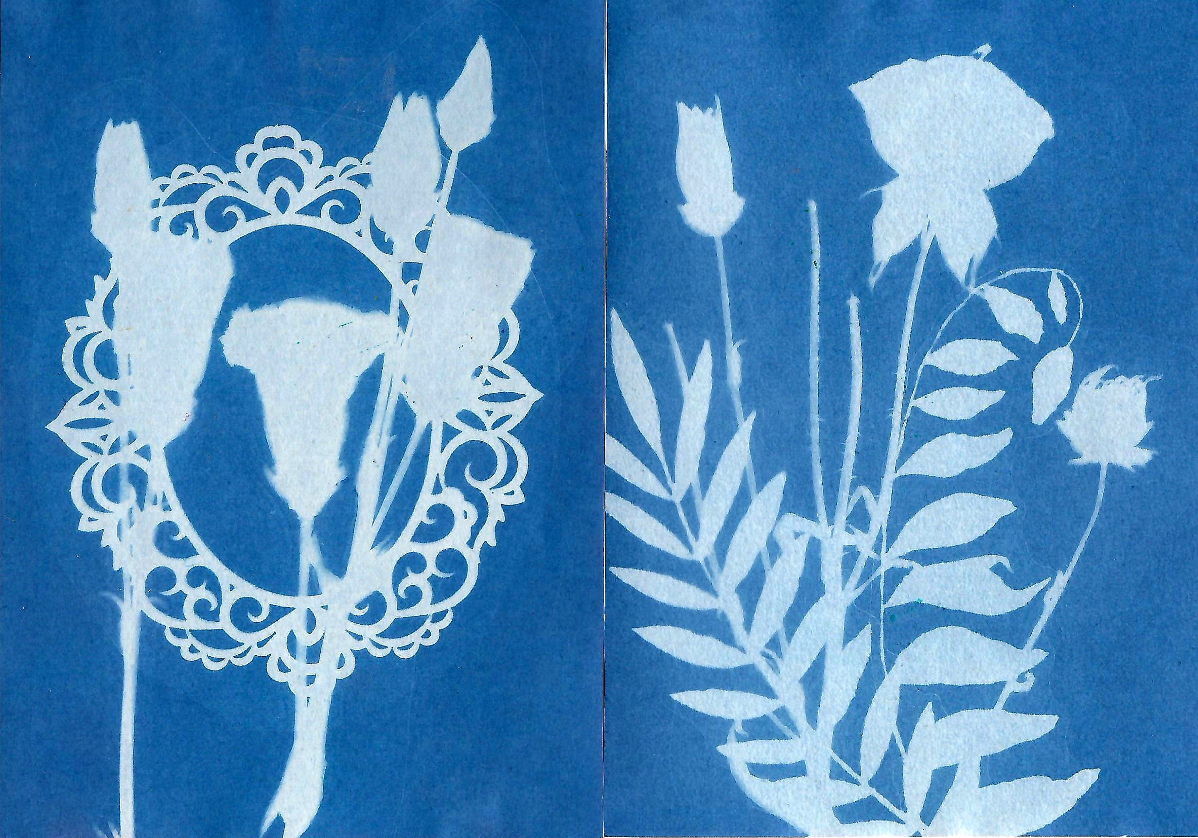 cyano2.jpg (Copy)