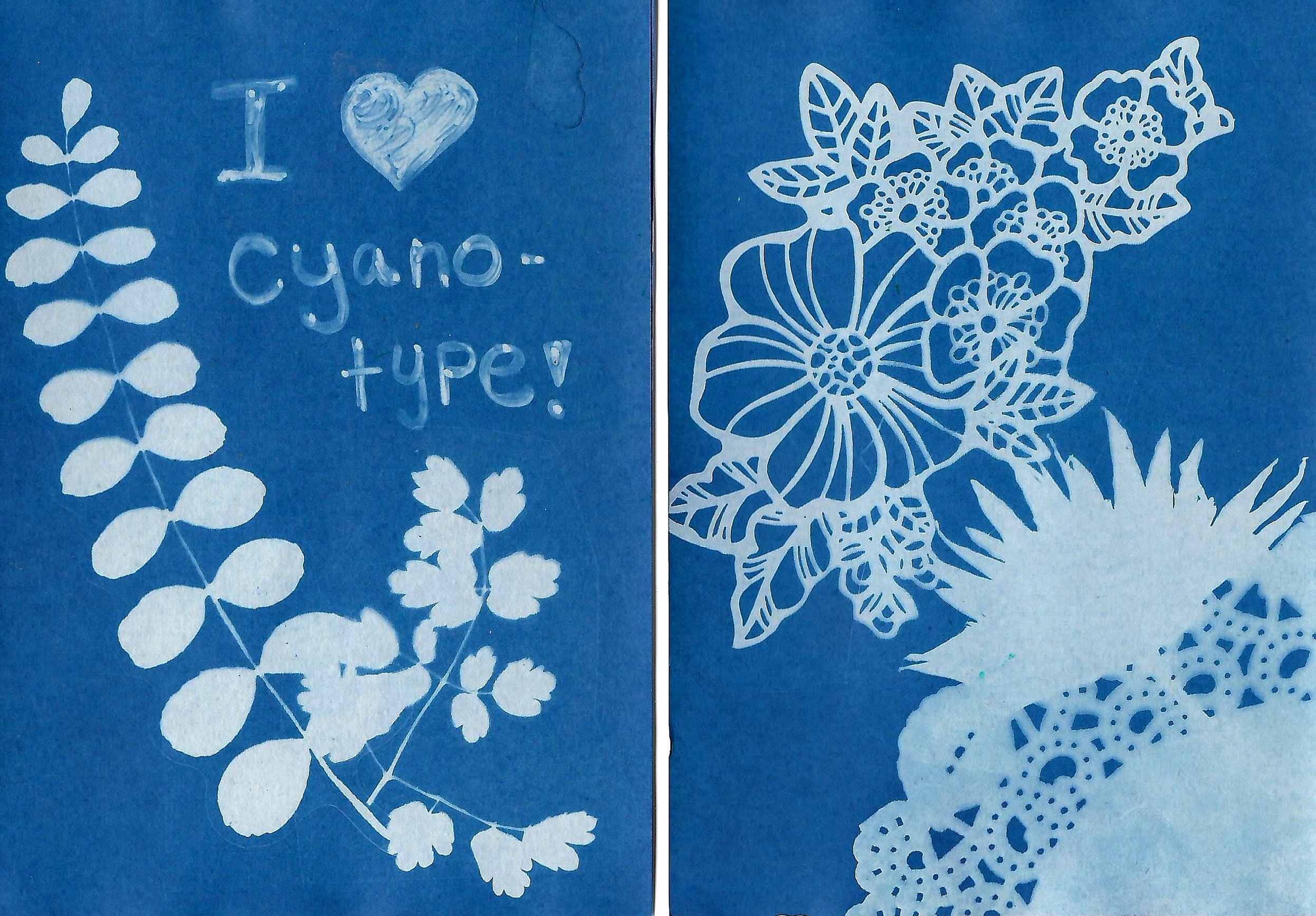 cyano1.jpg (Copy)