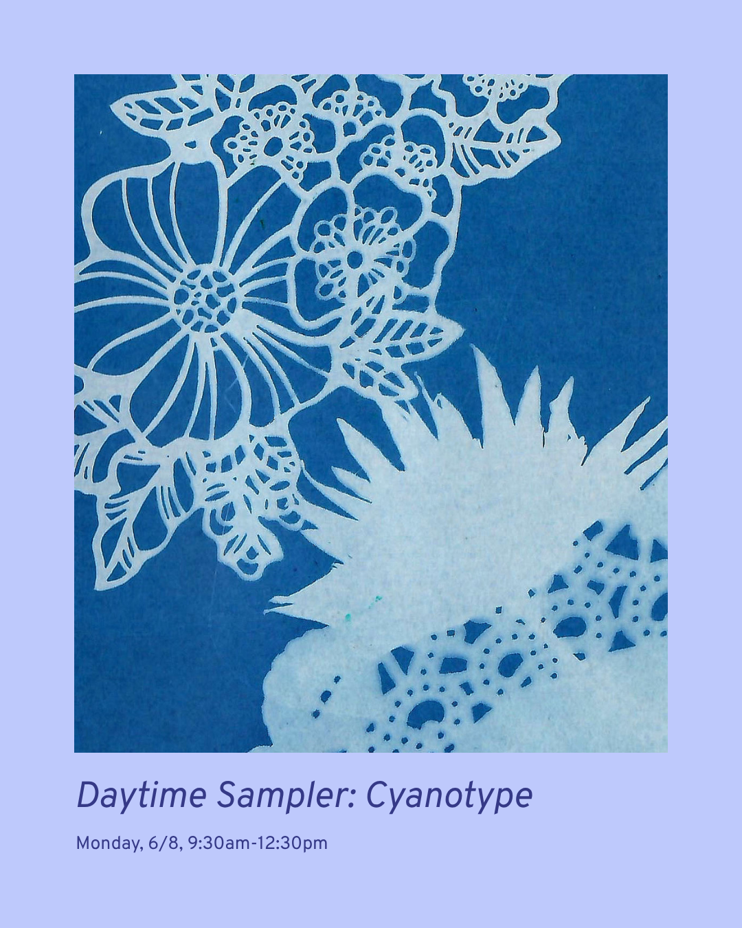 Sampler Session: Cyanotype