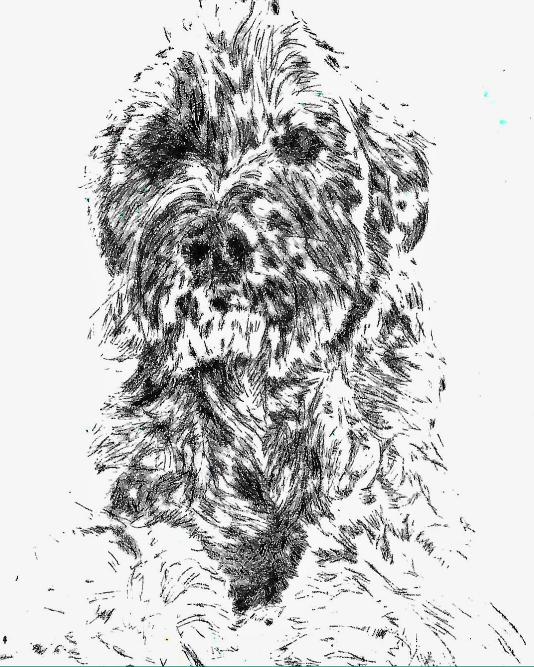 Sampler Session: Drypoint