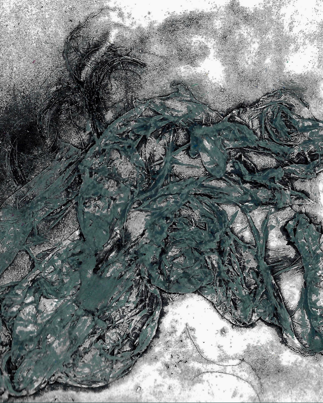 Sampler Session: Collagraph