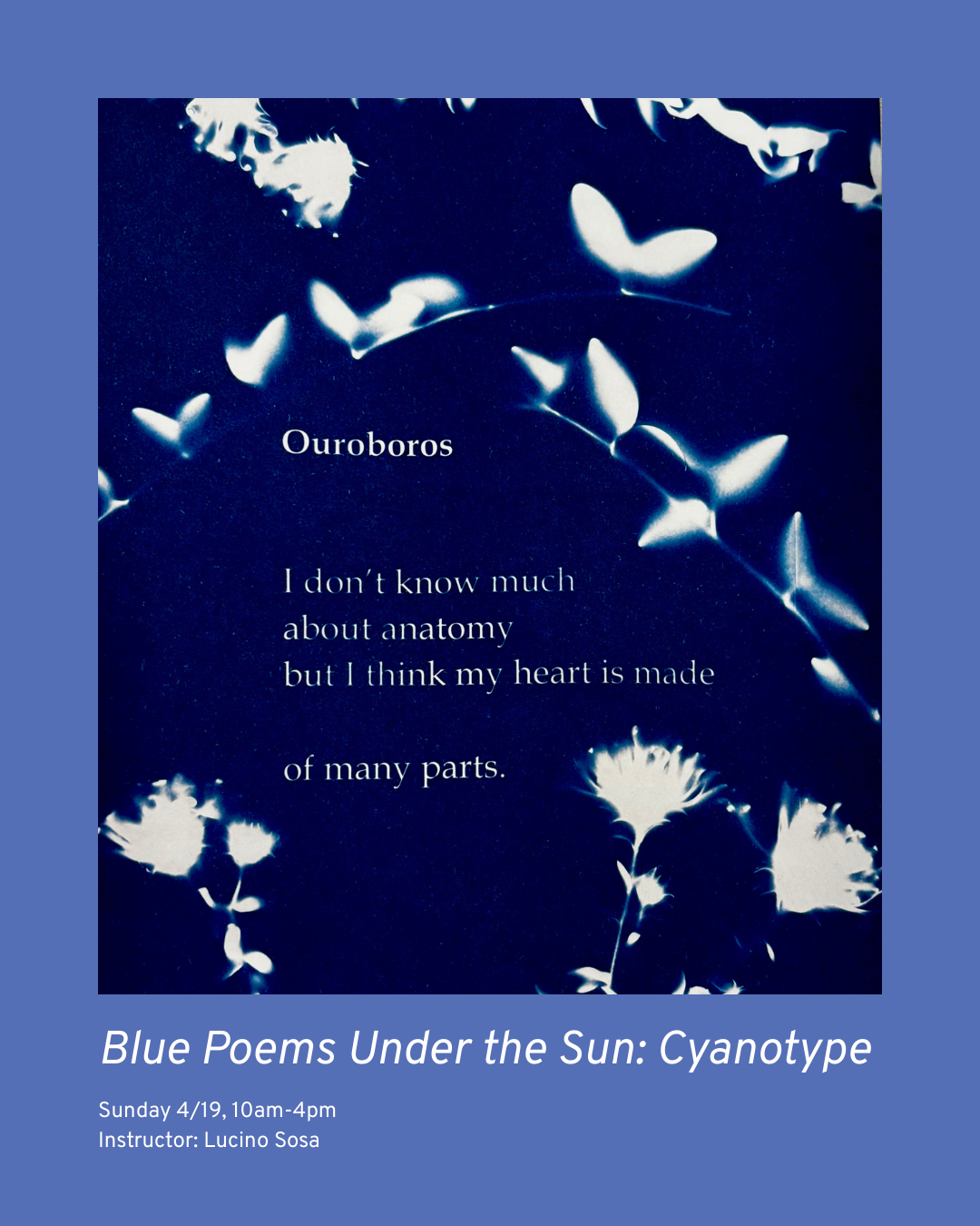 Weekend Workshop: Blue Poems Under the Sun: Cyanotype Printmaking