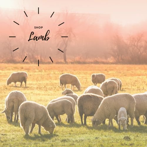 Shop Fresh Halal Lamb Meat - Healthy Halal